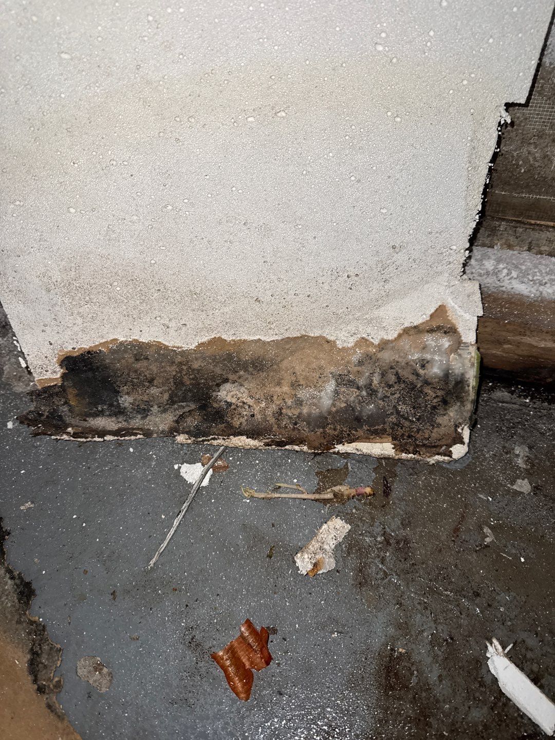 Wilmette Basement Sewage Extraction and Structural Drying Mitigation by Chicagoland Water Medics