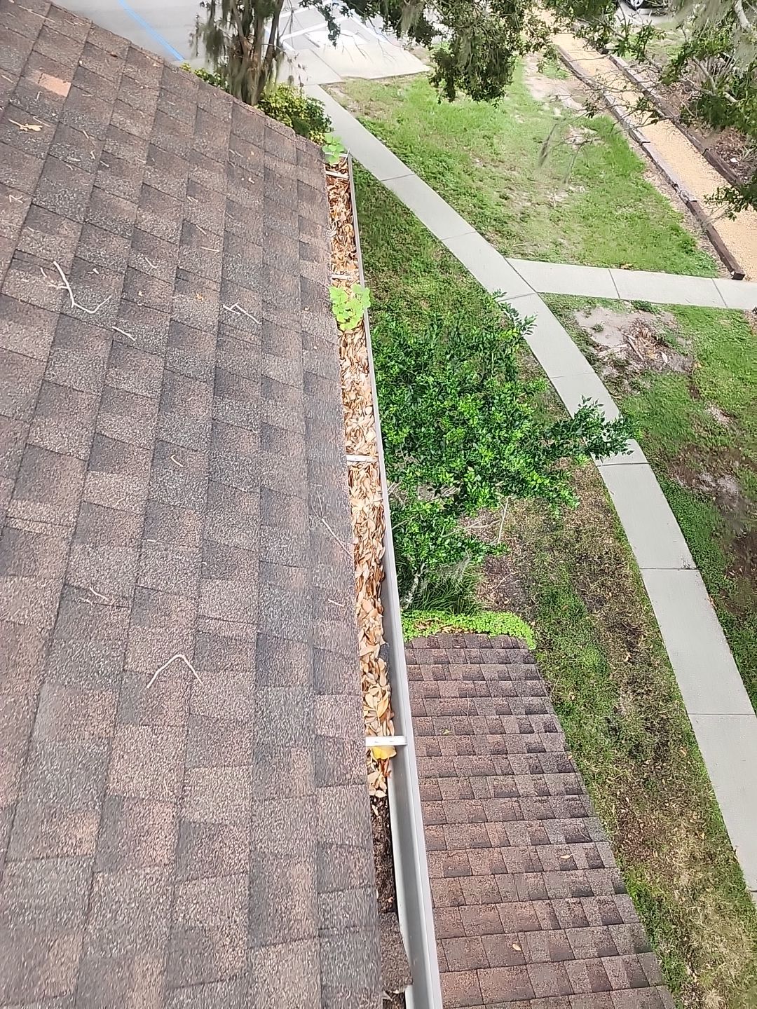 Trinity Gutter cleaning job