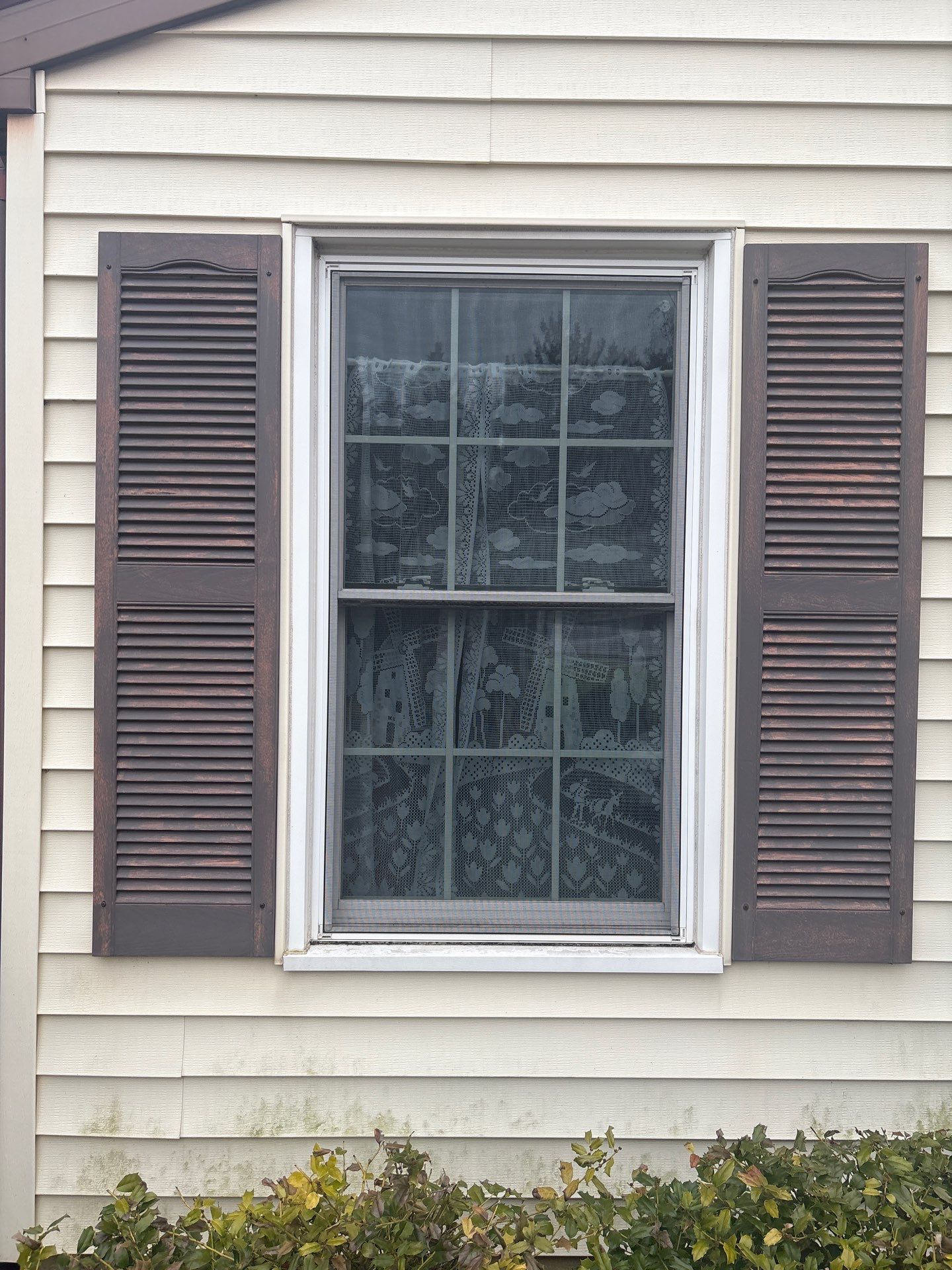 Double Hung Windows by Aspen Home Improvements