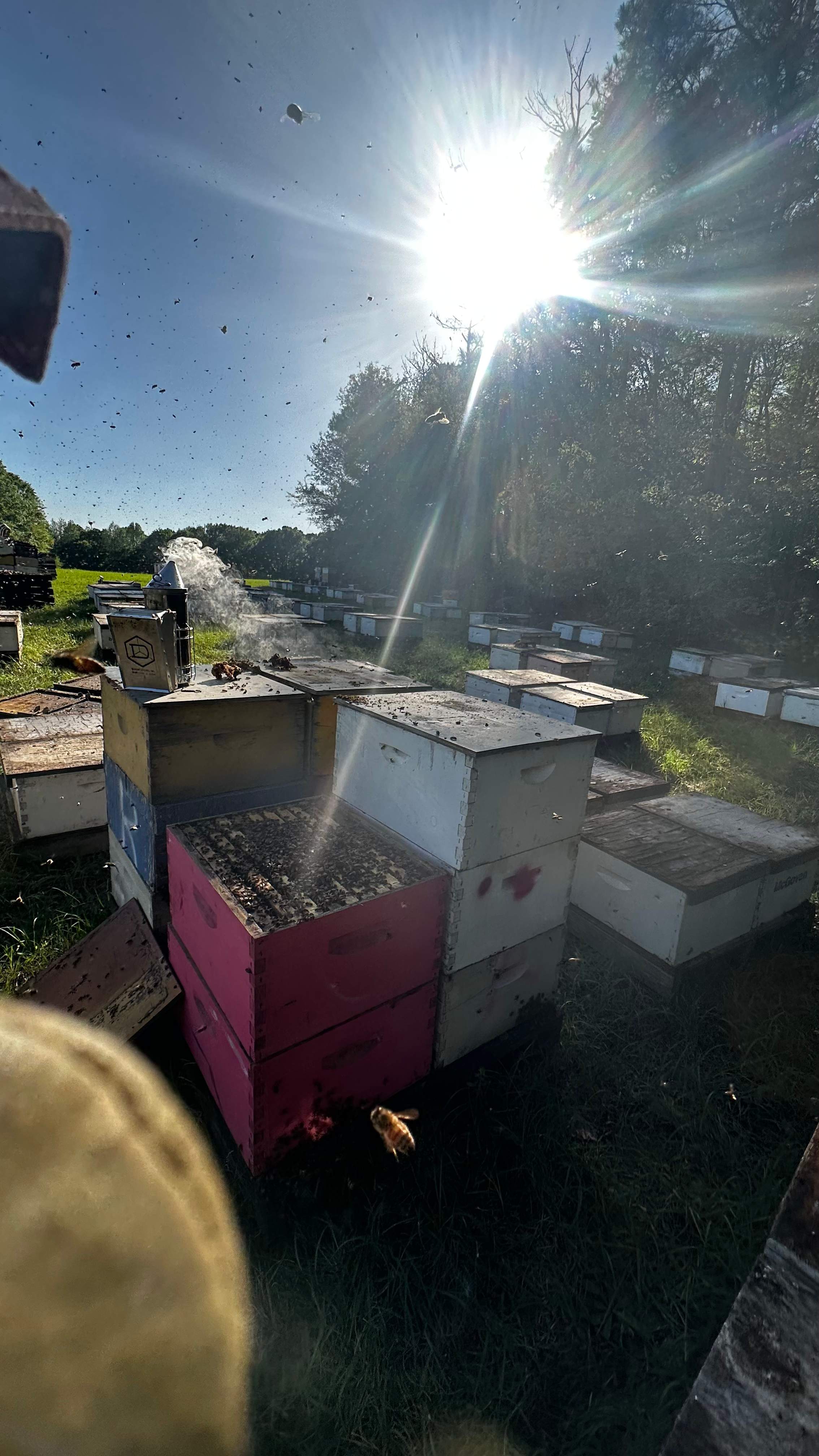 Traylor's Hay Meadow Apiary by Rockwall Honey Bee Company