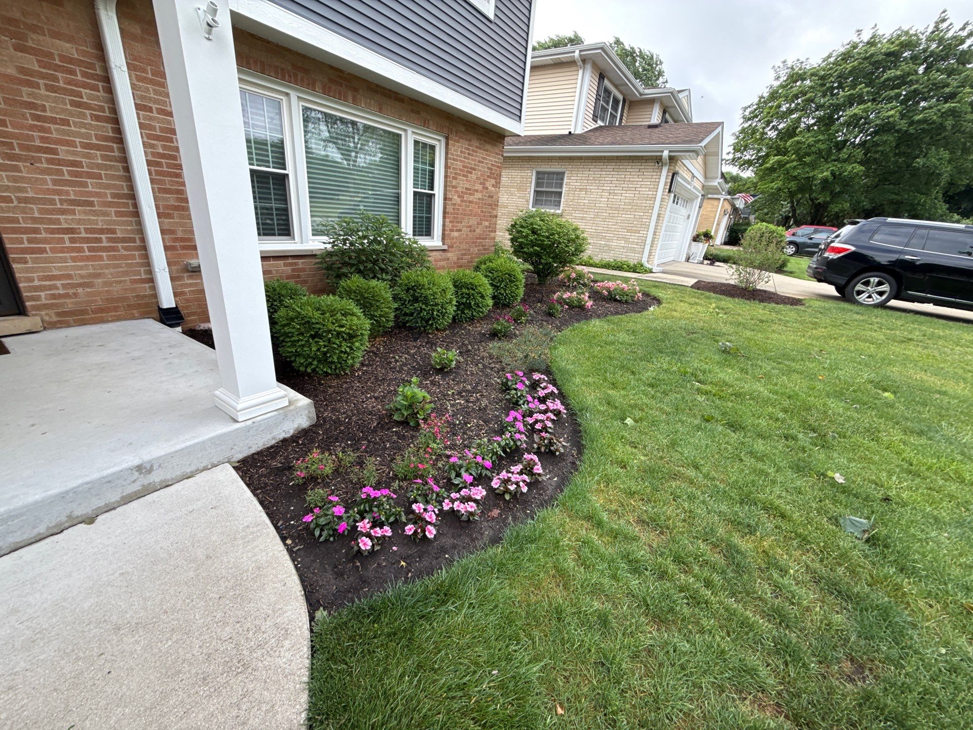 Clay U. - Arlington Heights, IL by A&N 