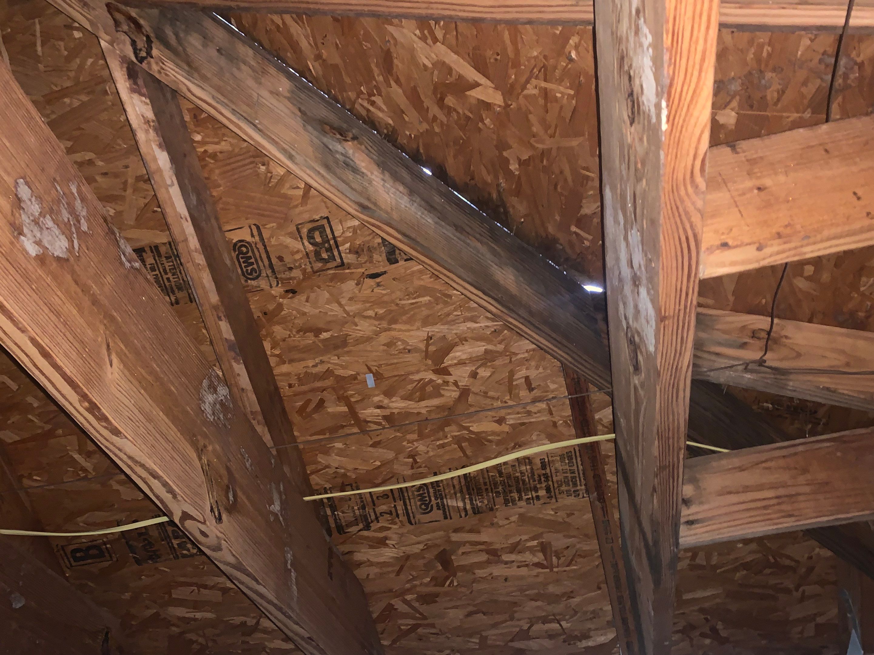 Full Roof Replacement in Webster. by Elite Roofing LLC