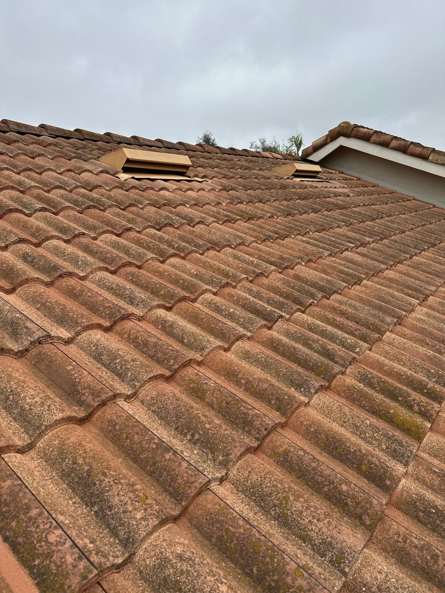 Orange County gutter cleaning using a vacuum by Property Cleaning Experts