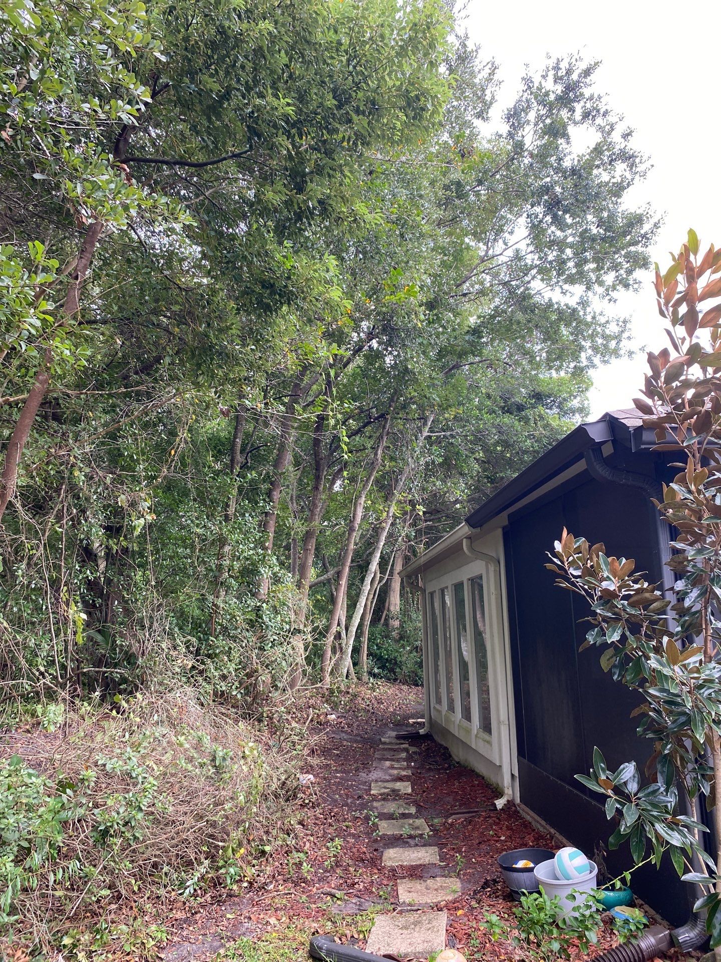 Deerwood Residence | Property Clean Up  by ProGreen Services