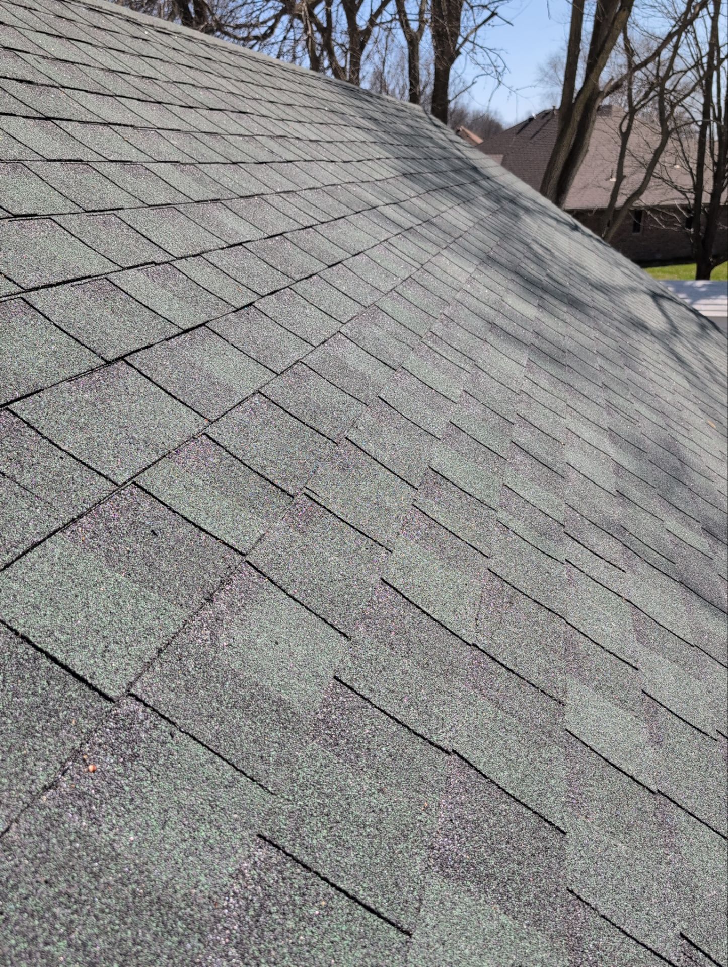 Roof Replacement in Nixa by Table Rock Design + Build