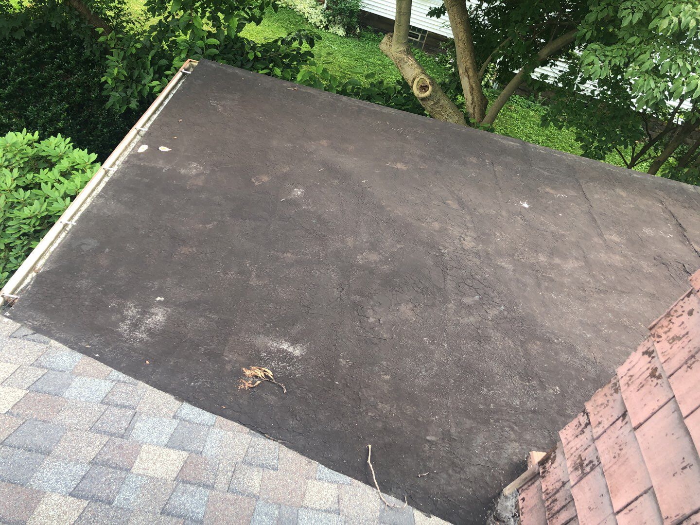 Lisa Yoho by Silver Leaf Contracting 