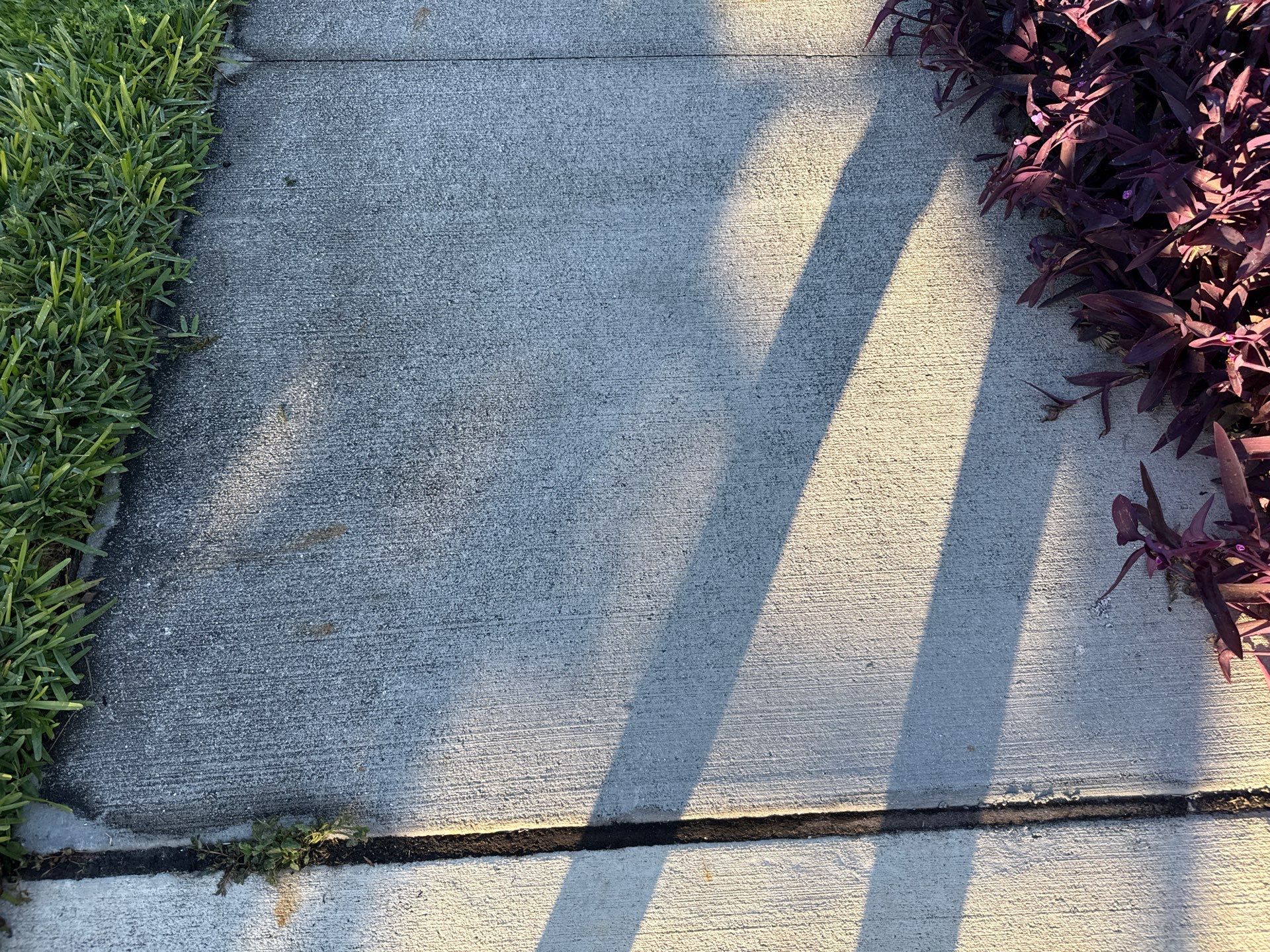 Rust Stain Removal from Concrete Driveway and Pavers in Park East at Azario | Lakewood Ranch, FL by Sunshine AquaWash
