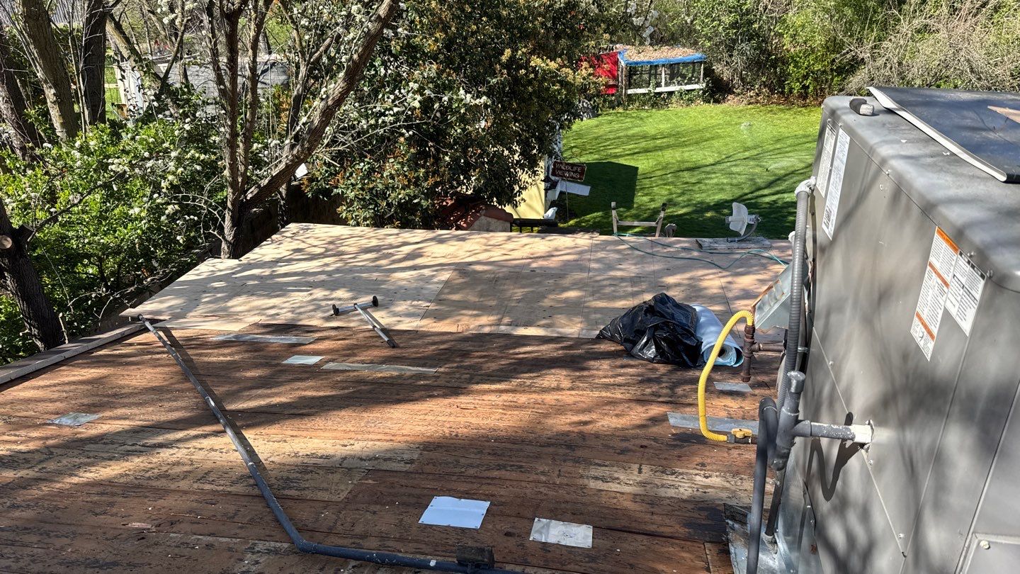 Willa Holmstock by NuLead Construction Inc