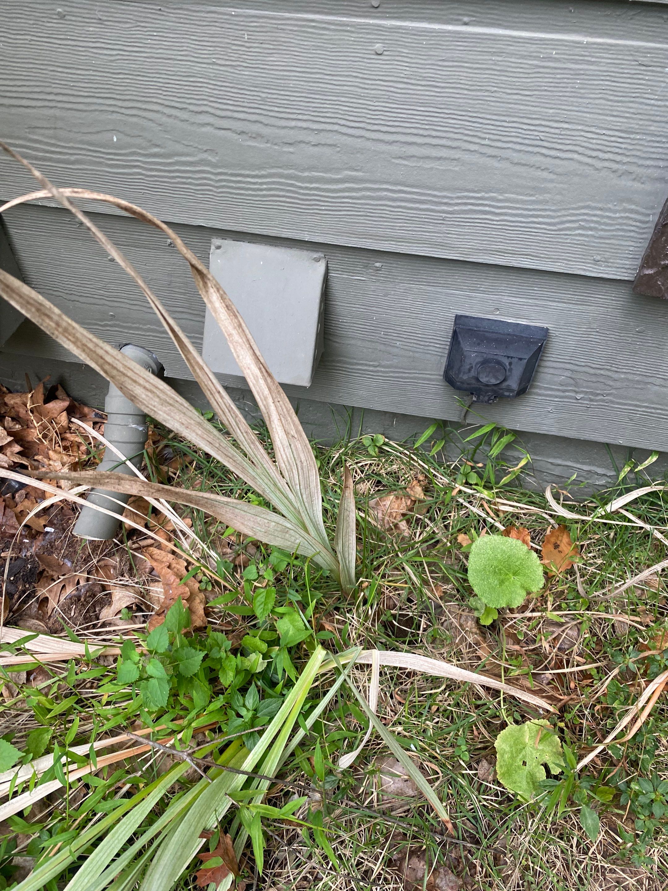 Reston: Residential Siding Replacement with James Hardie Statement Beaded Plank in Cappuccino Muffin by RM Banning, Inc.