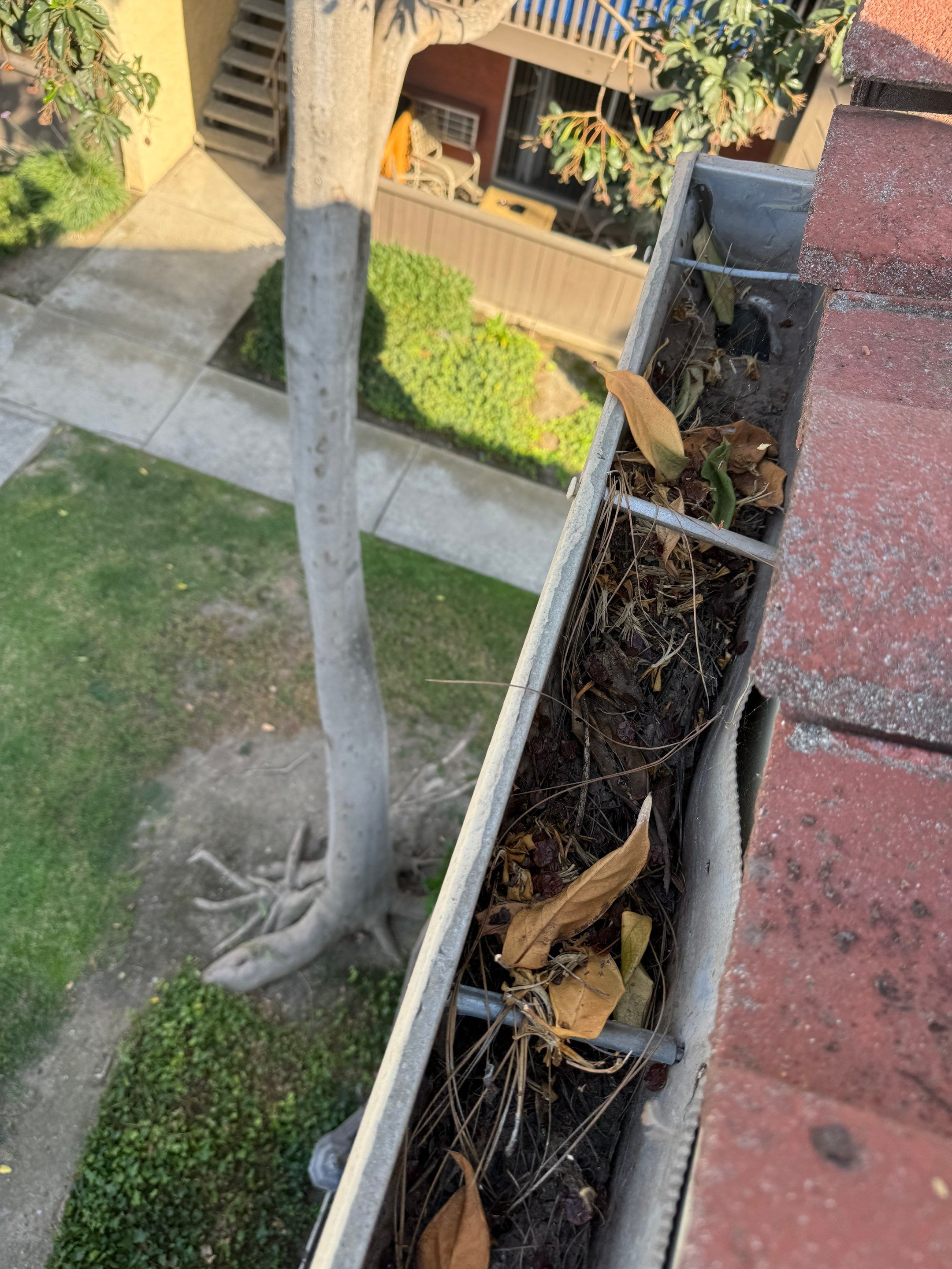 Commercial gutter cleaning Pasadena & San Gabriel Valley, CA before photo with filled gutters