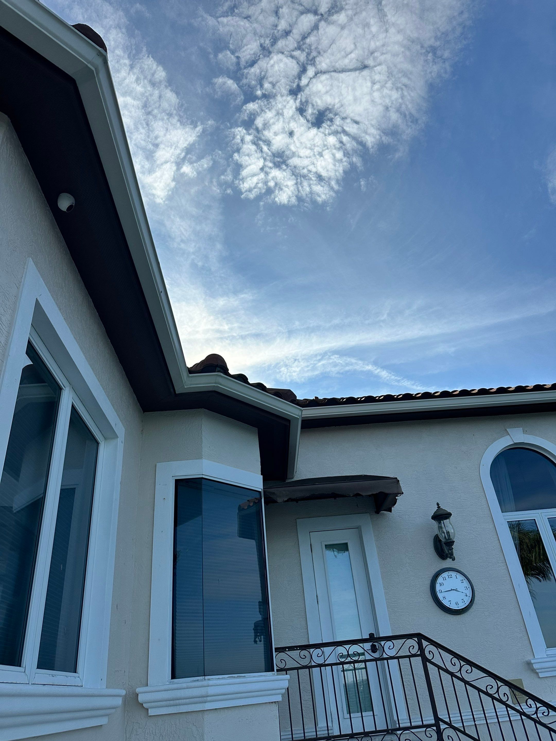 Cameo Finish Gutters for Luxury Homes  by Gutter Professors