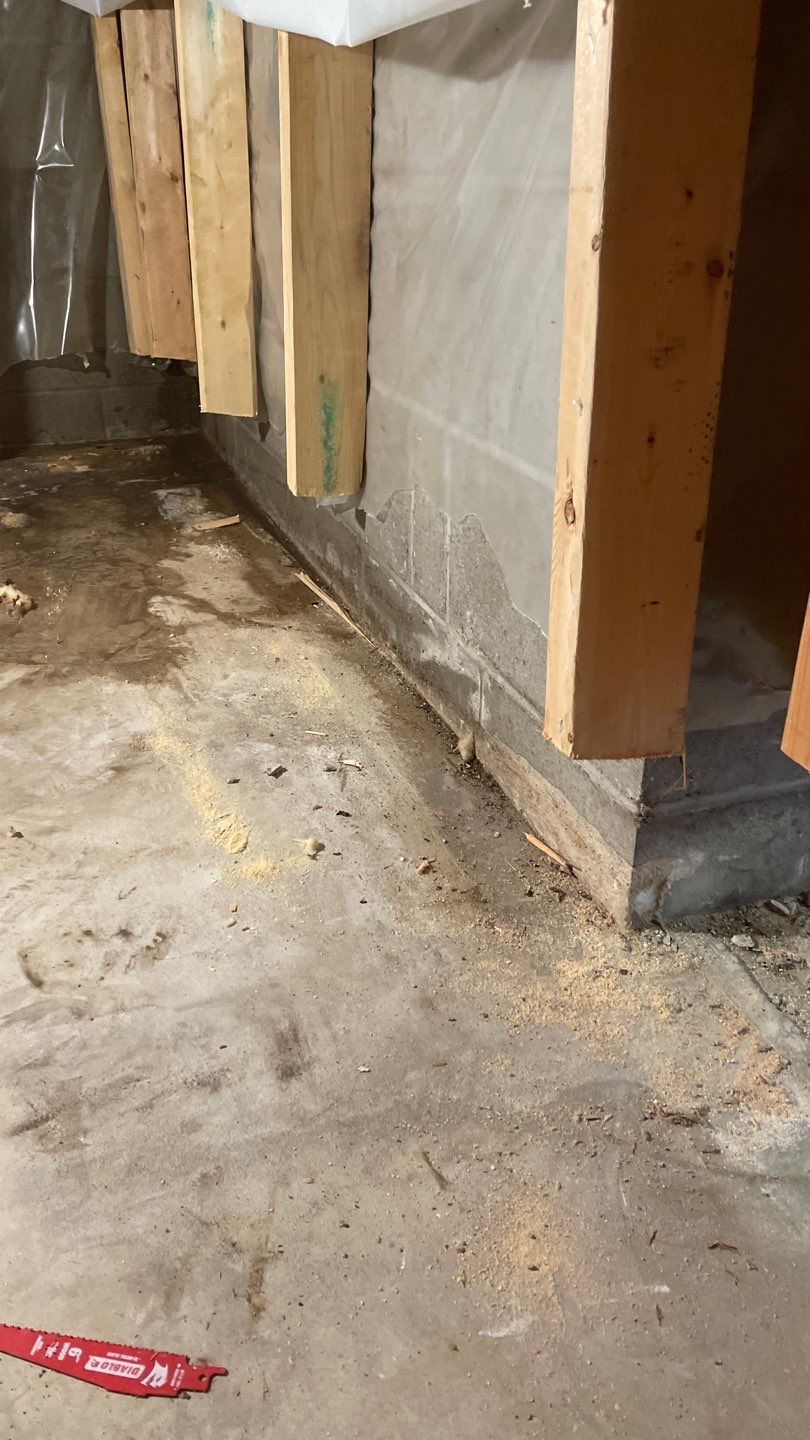 Interior Drain Tile & Sump Pump in Lino Lakes, MN by Waterproofing Northeast