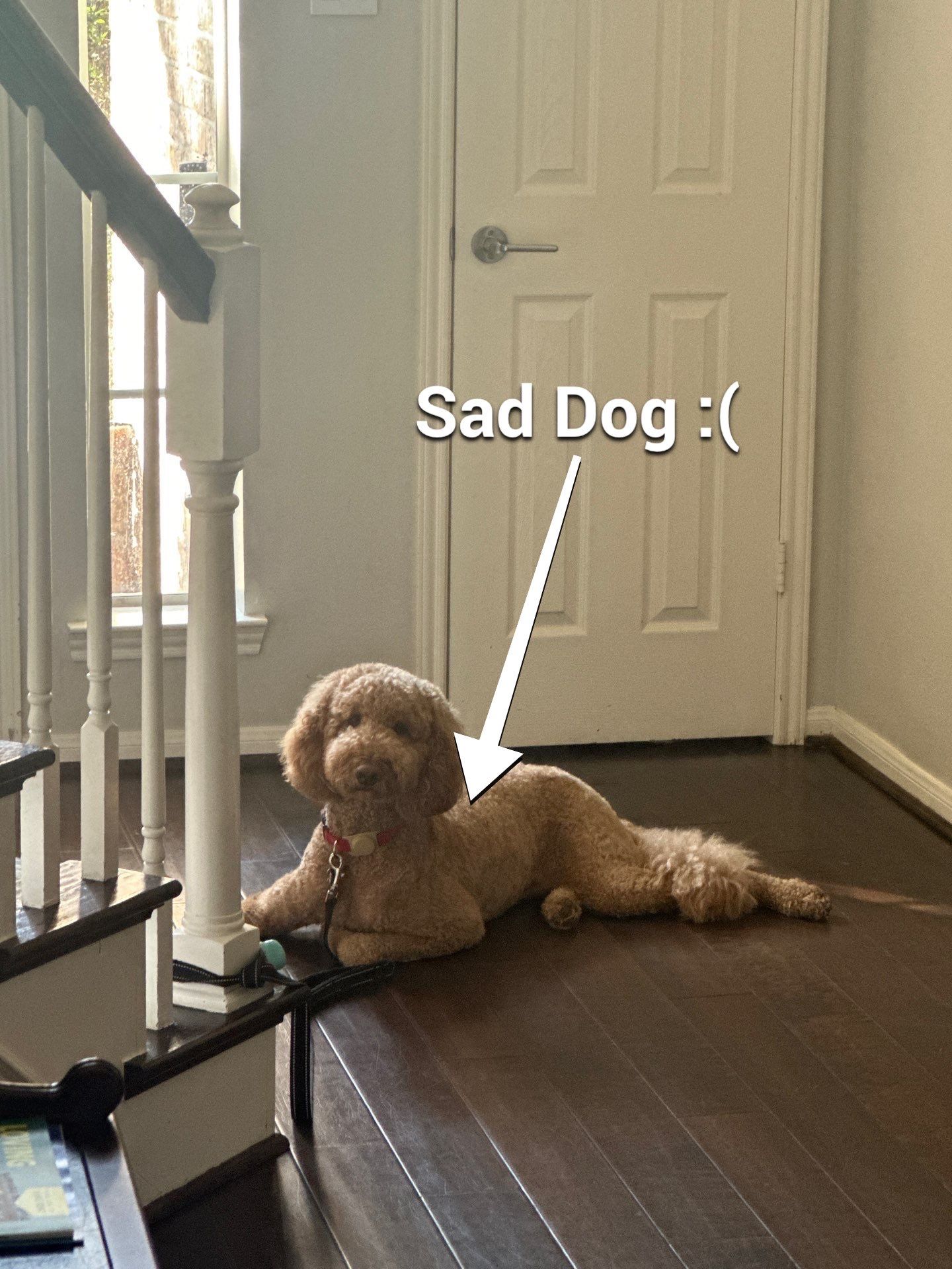 Patio Cover in Cinco Ranch by SophAlx LLC