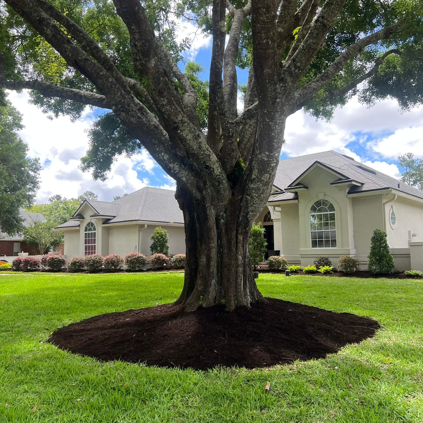 Plant & Mulch Installation | Deerwood Country Club by ProGreen Services