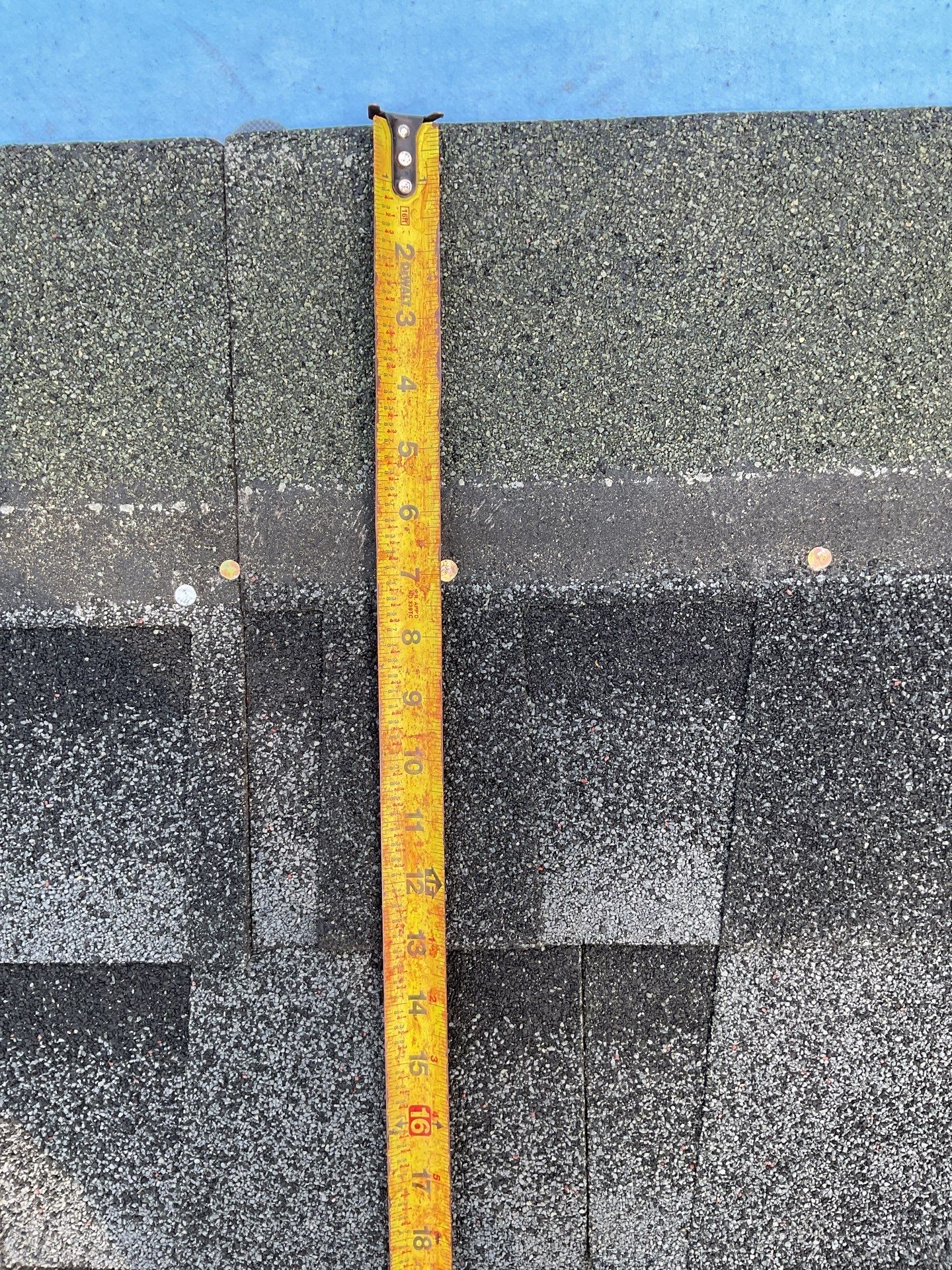 Roofsters featured photo.