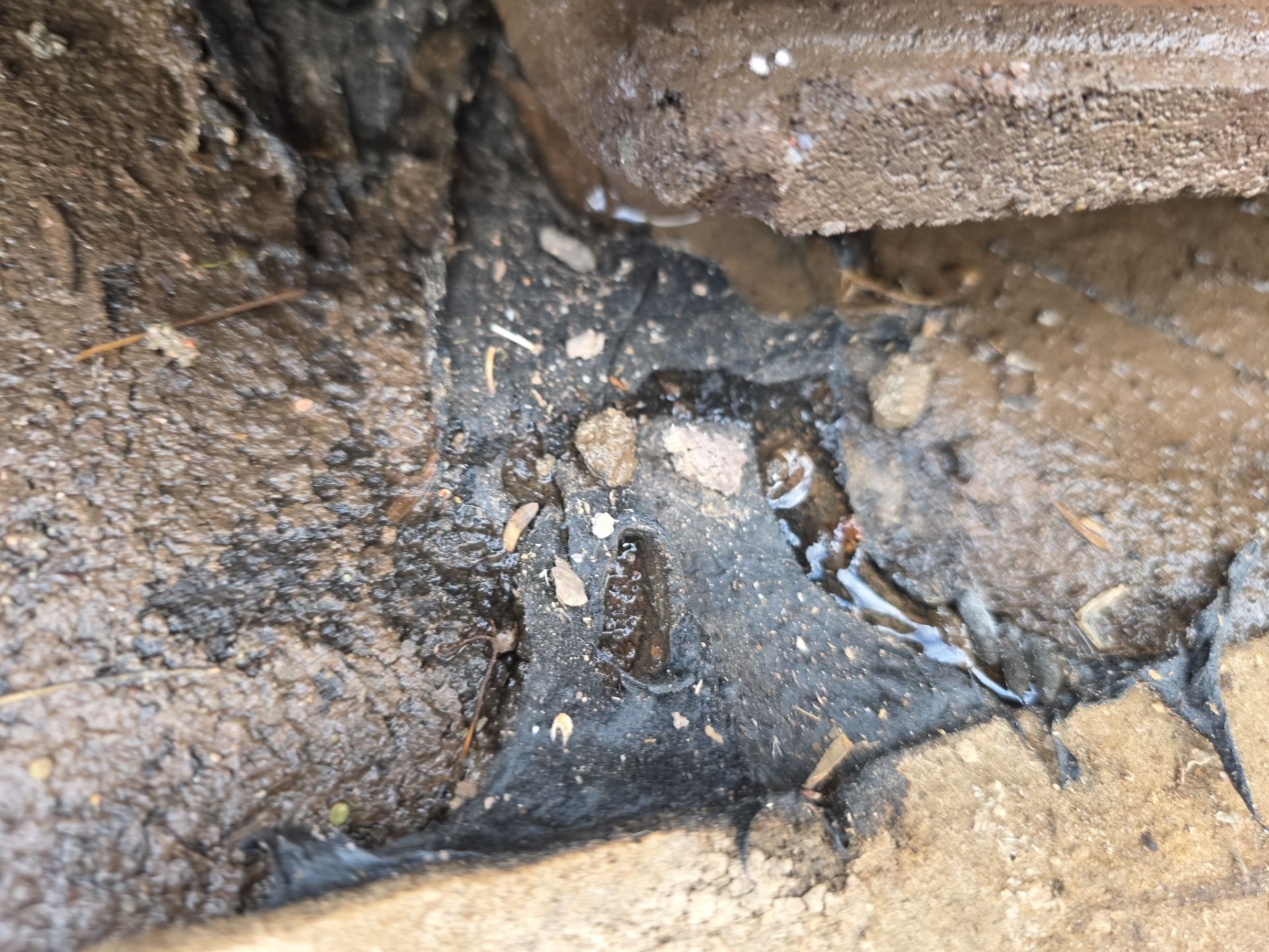 Protect Your Investment: Arizona Roofing Company's Expertise at Work! by Weather-Tite Roofing