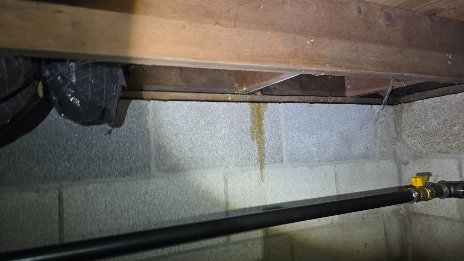 Structural Carpentry – Holland, Ohio by Toledo Basement Repair 