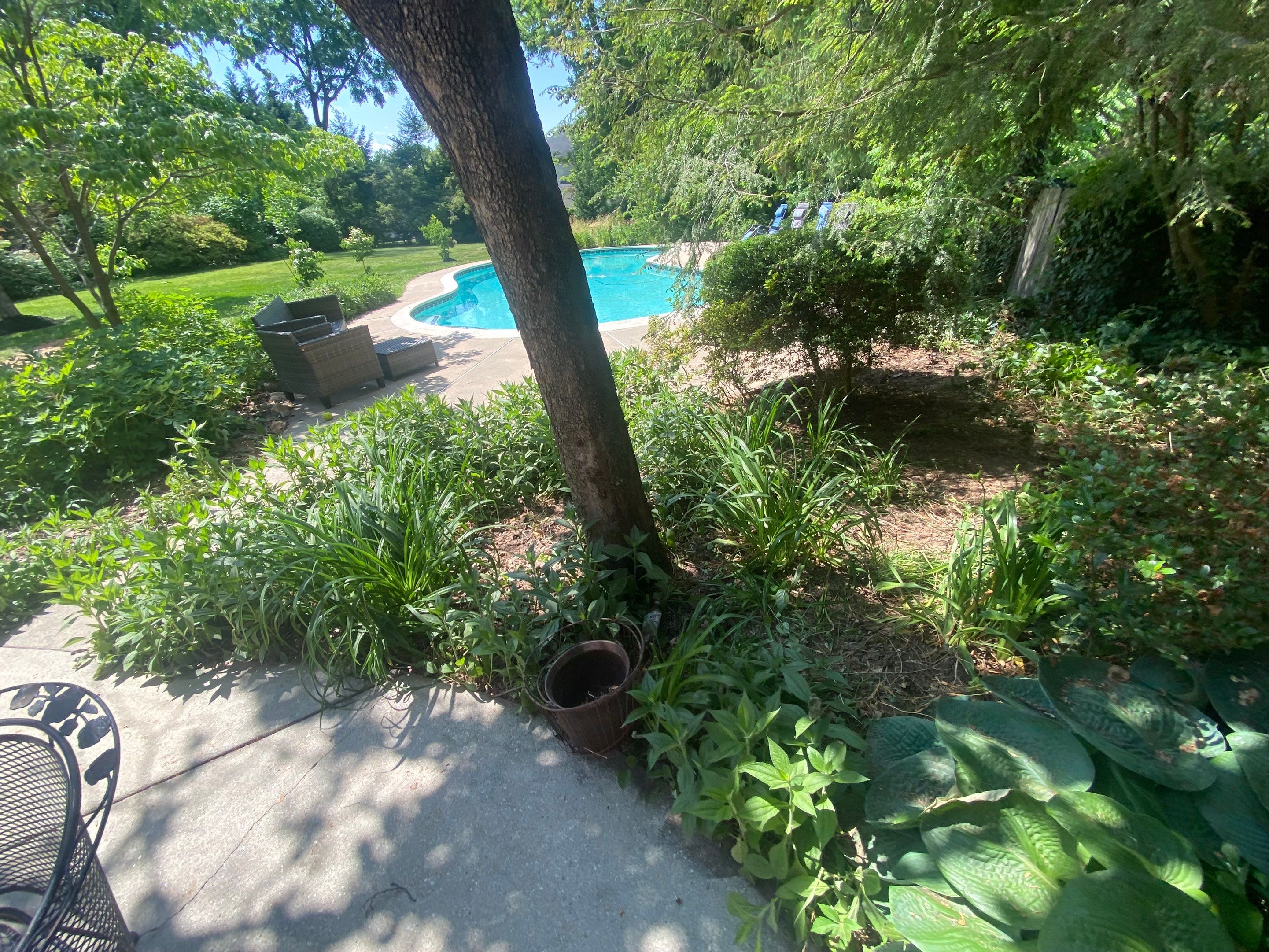 Landscape cleanup & drainage by The Smet Companies, LLC