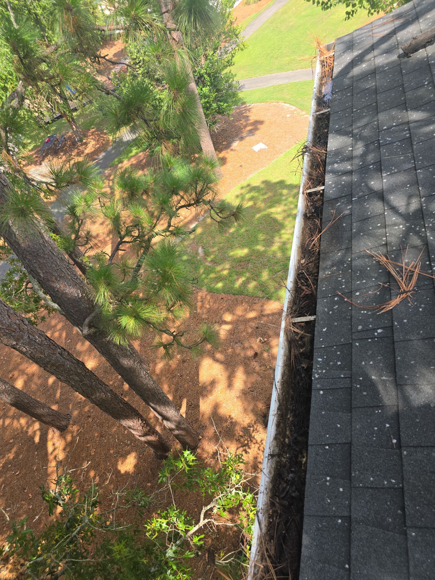 Commercial gutter cleaning Wilmington, NC before photo with filled gutters