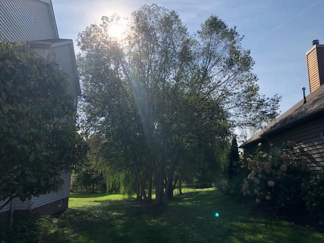 Tree Removal using Tree Removal by Mike Jones & Sons Tree Service LLC 
