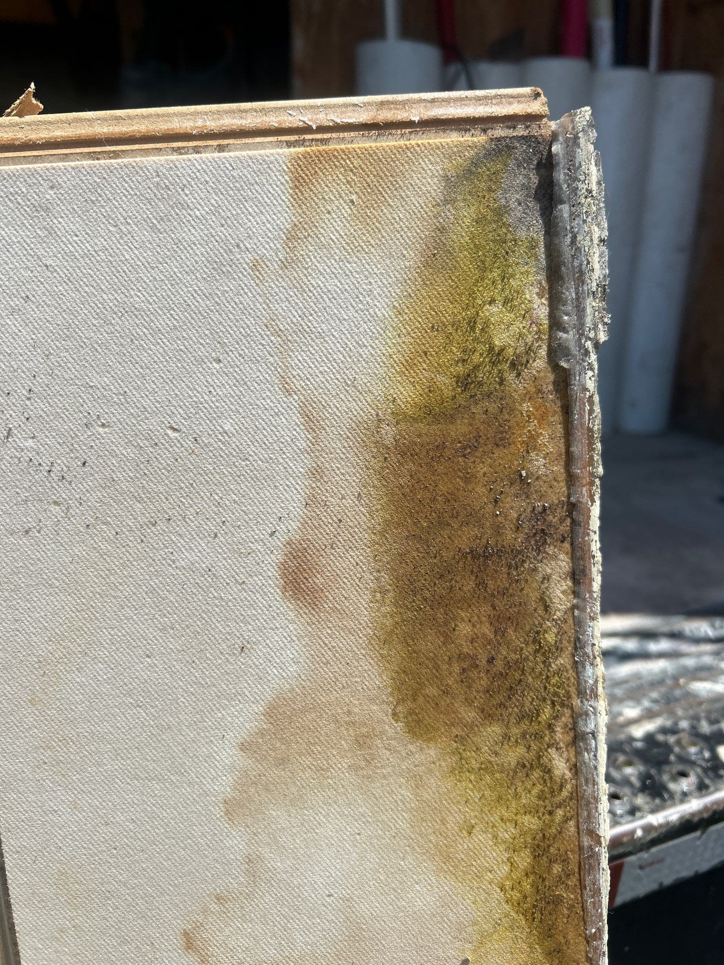 Mold Removal In Bradenton FL  by Ampm Restoration Services 