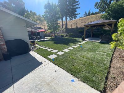 Project in Danville