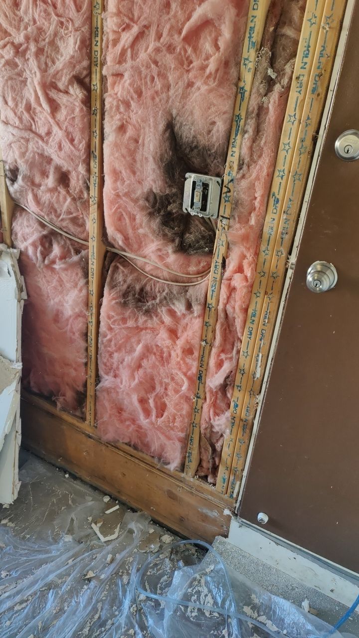 Water Damage  by Accountable Home Services