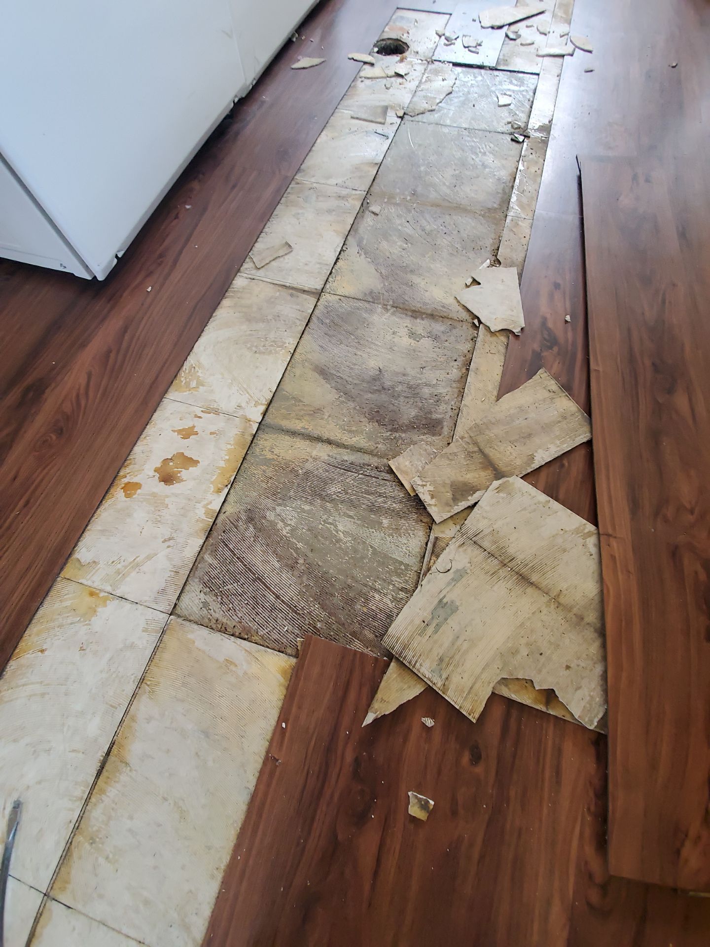 Laundry Room Water Restoration & Rebuild in Irvine by One Stop Source