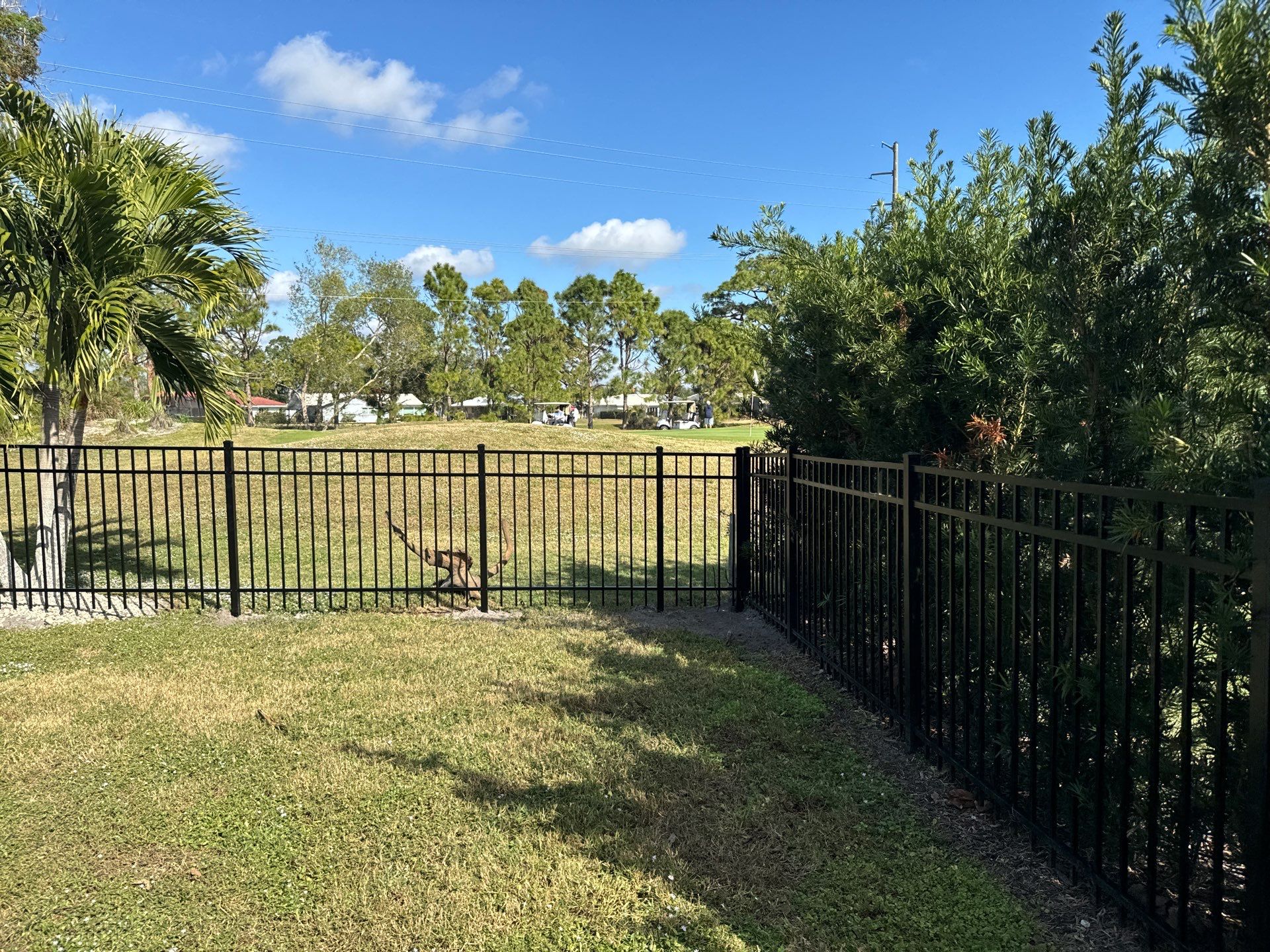 Aluminum Fence Installation using 3 Rail 4Ft Black Aluminum and 4Ft White Vinyl Fence by Asap fence and gates, LLC