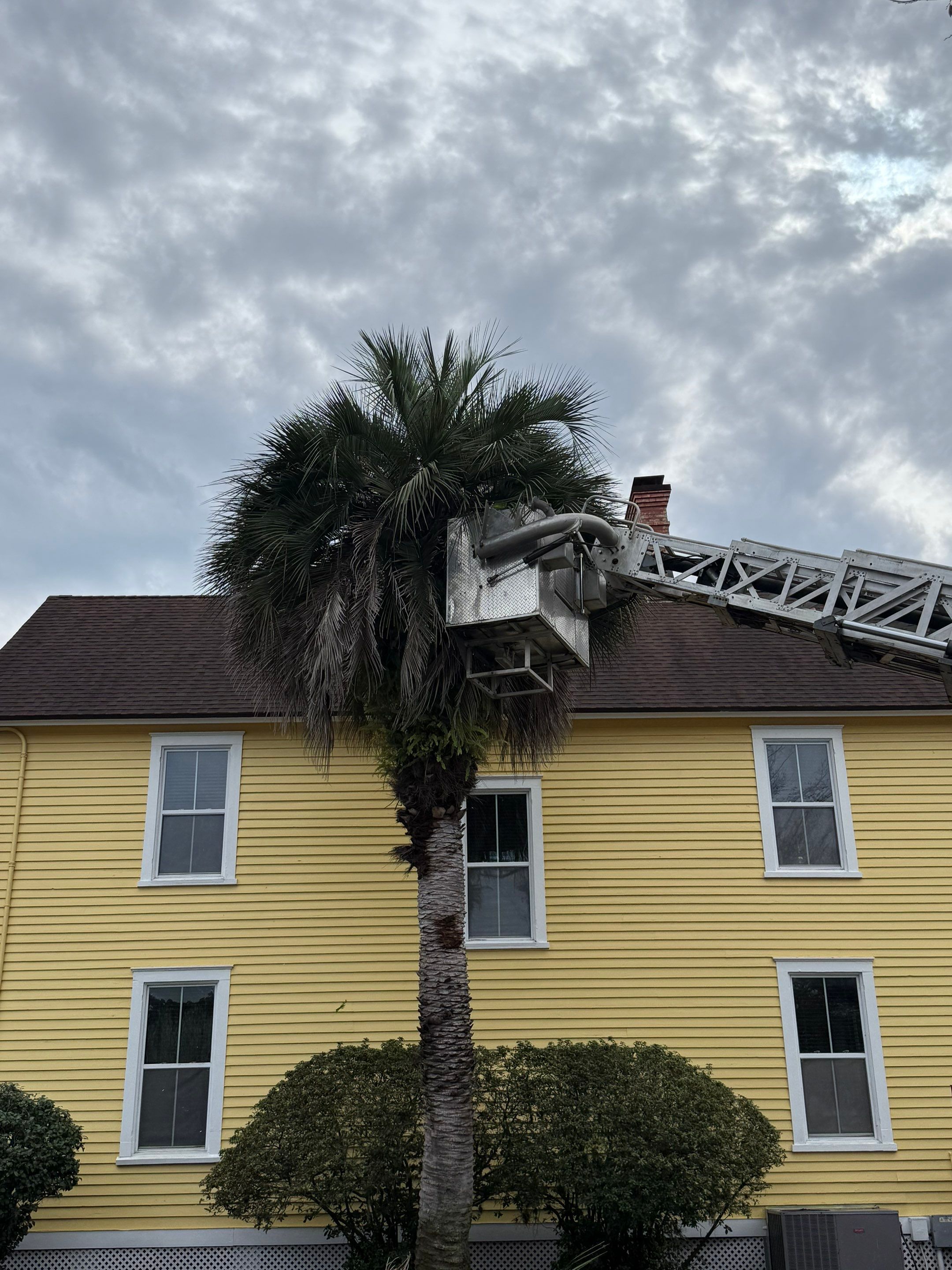 Volunteer Work | Episcopal High School of Jacksonville by ProGreen Services