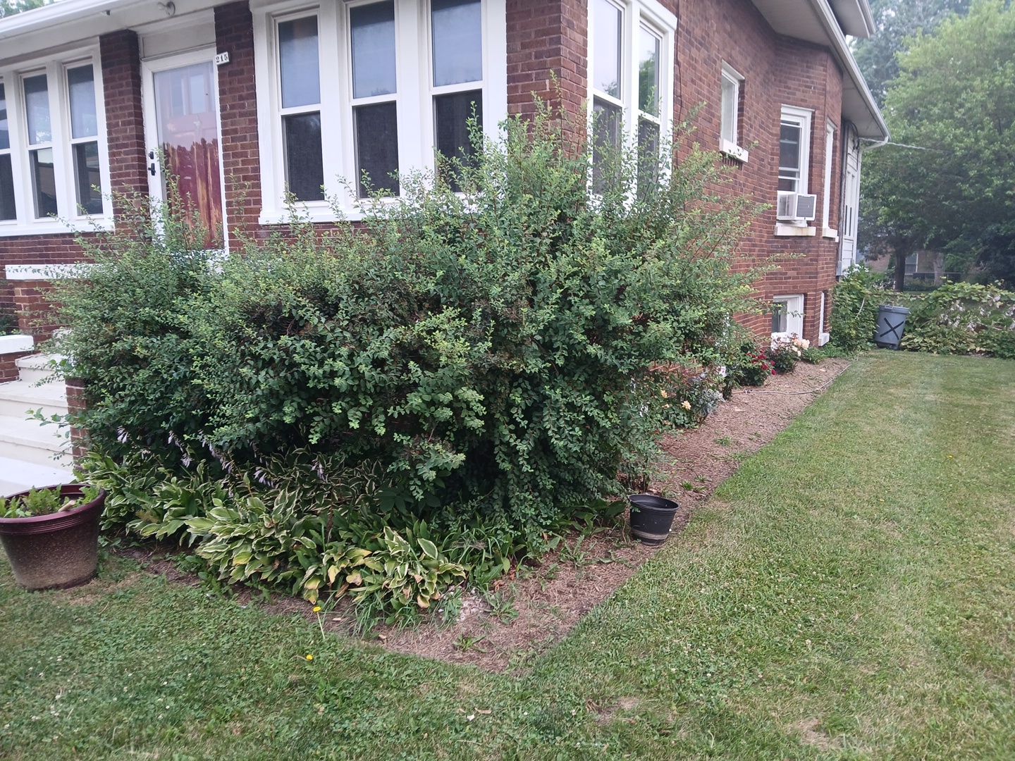 Veronkia S. - Mount Prospect, IL by A&N