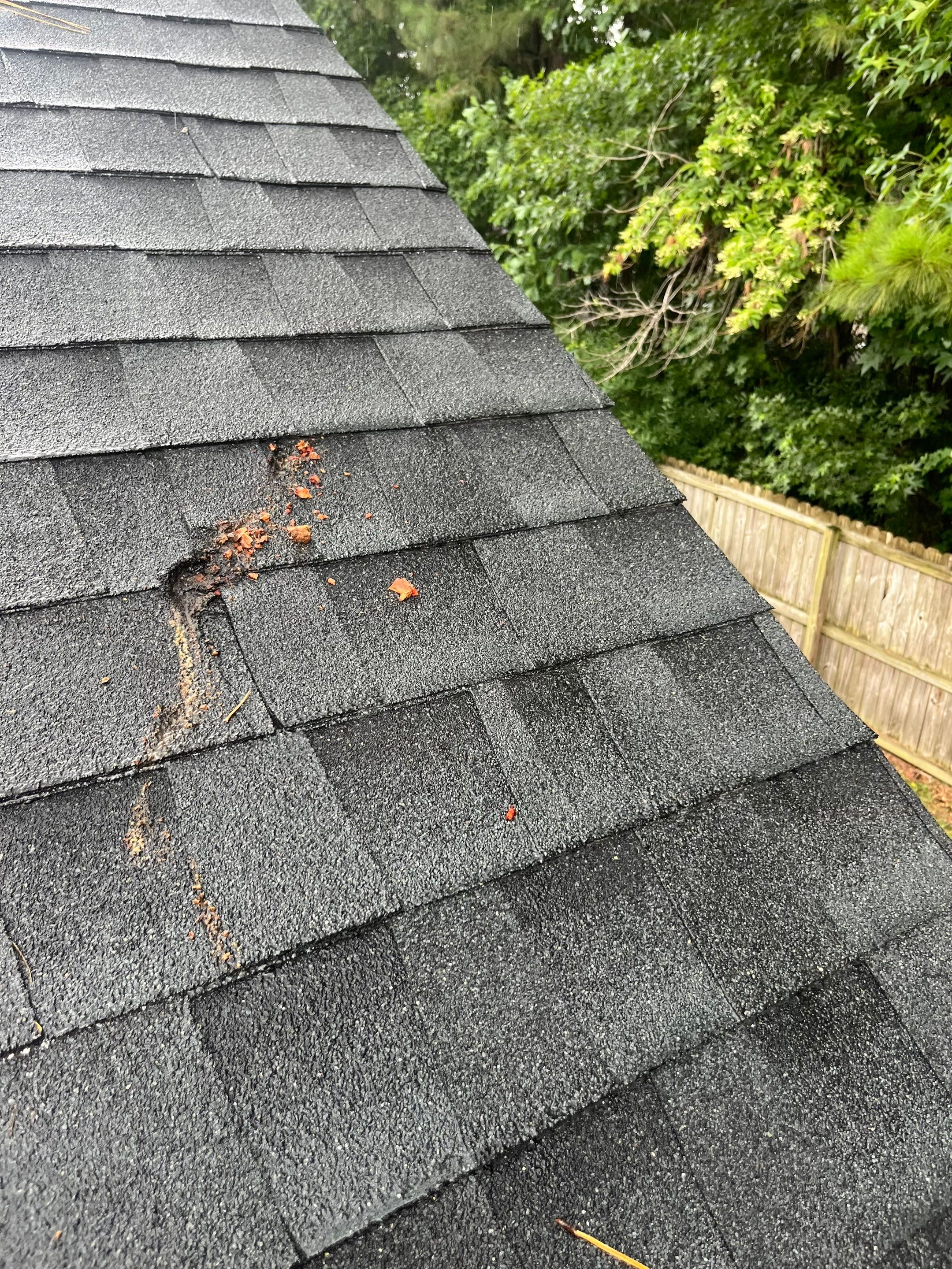 New Bern Roof Replacement Following Storm and Tree Damage by North Carolina Roofs