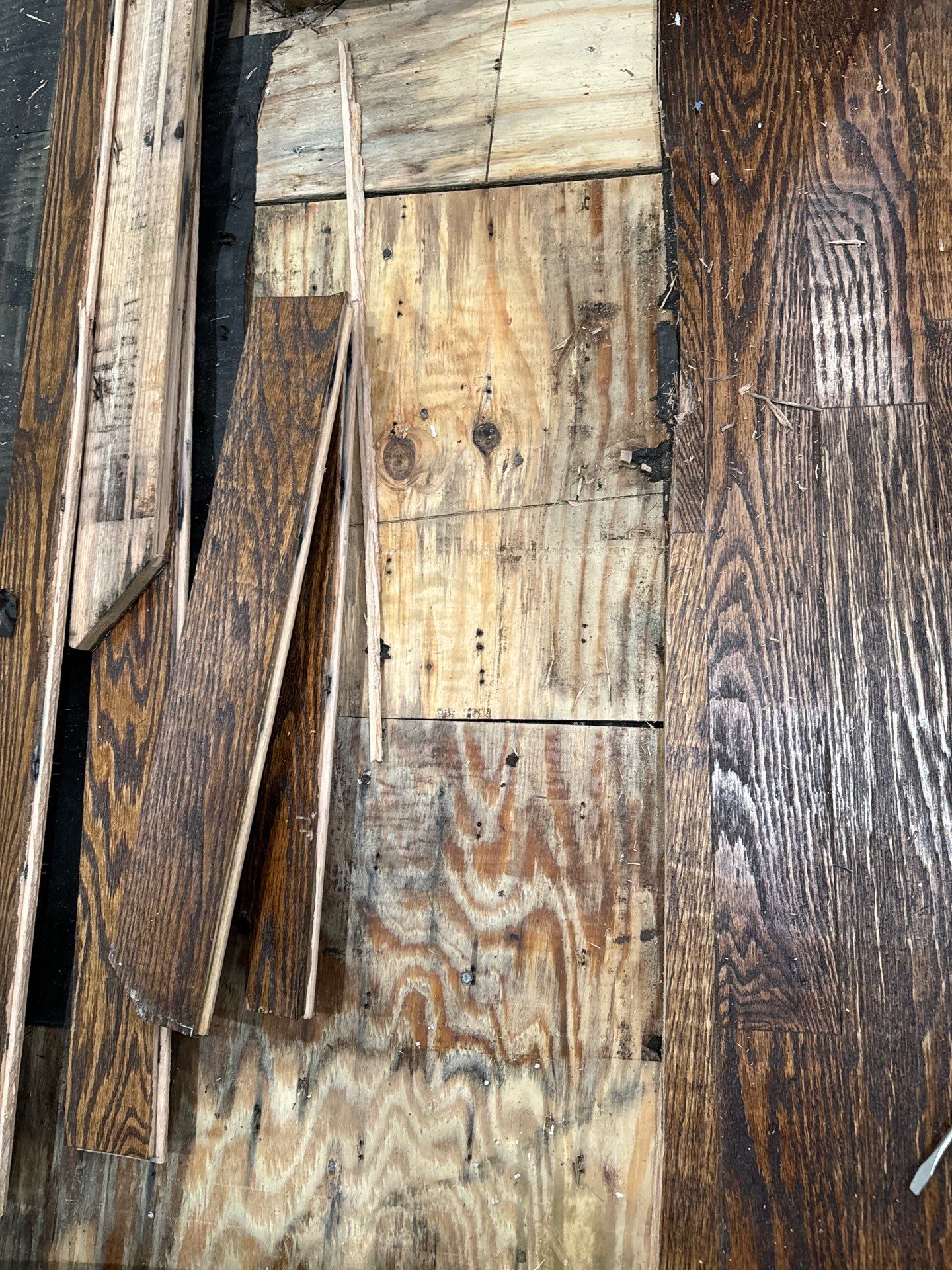 Dishwasher Flood Repair by Fine Line Flooring Inc.