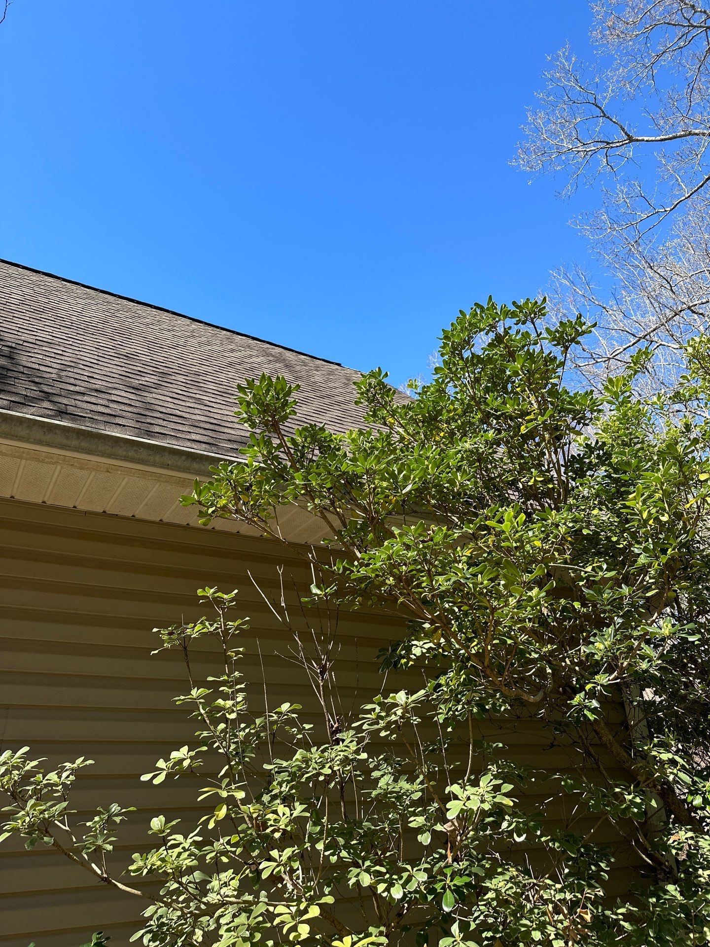 The Deans by United Contracting and Roofing