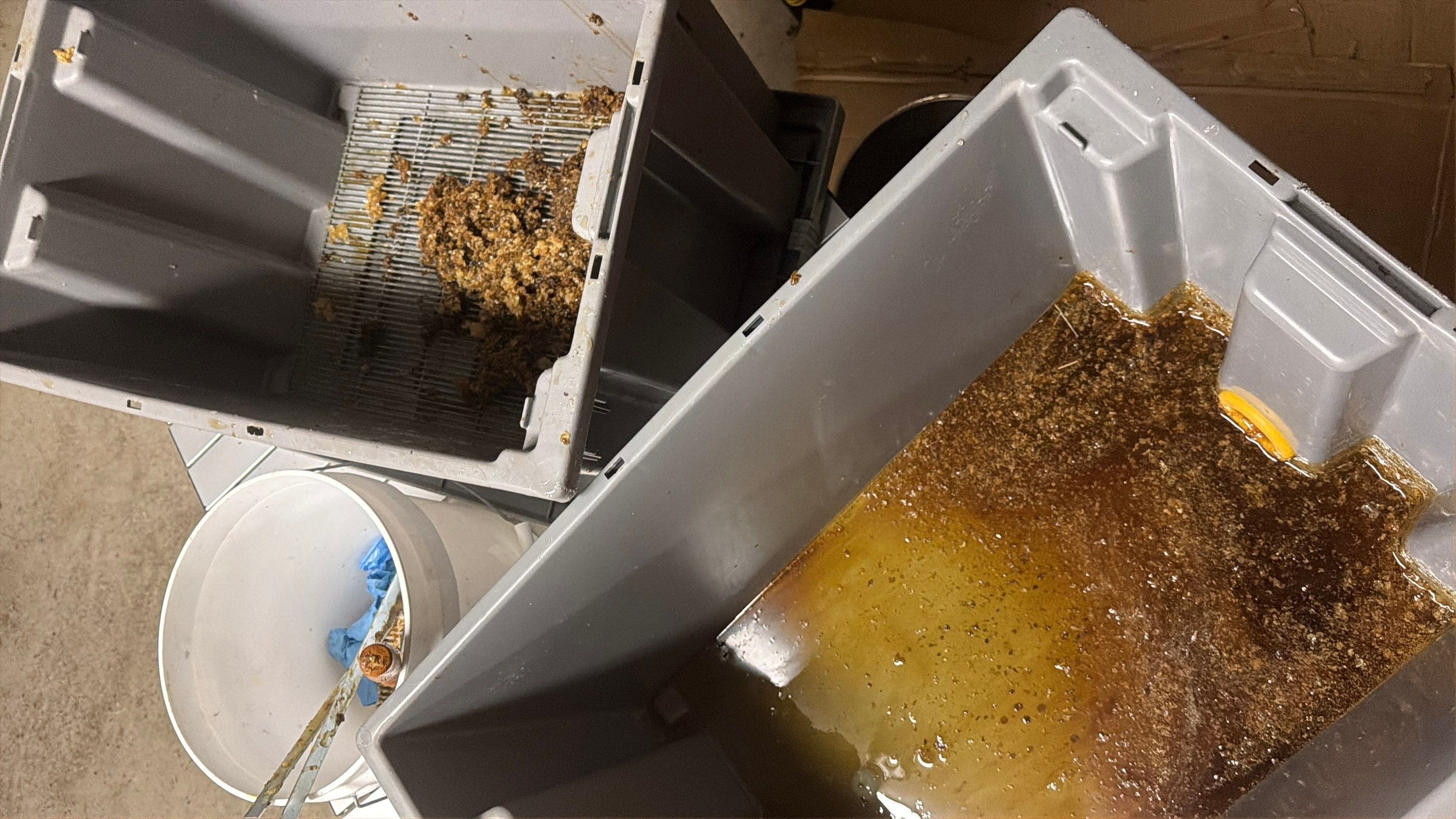 Backyard Survivor Stock by Rockwall Honey Bee Company
