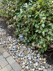 Window Cleaning in Succasunna, NJ — Gallo Bros job photo