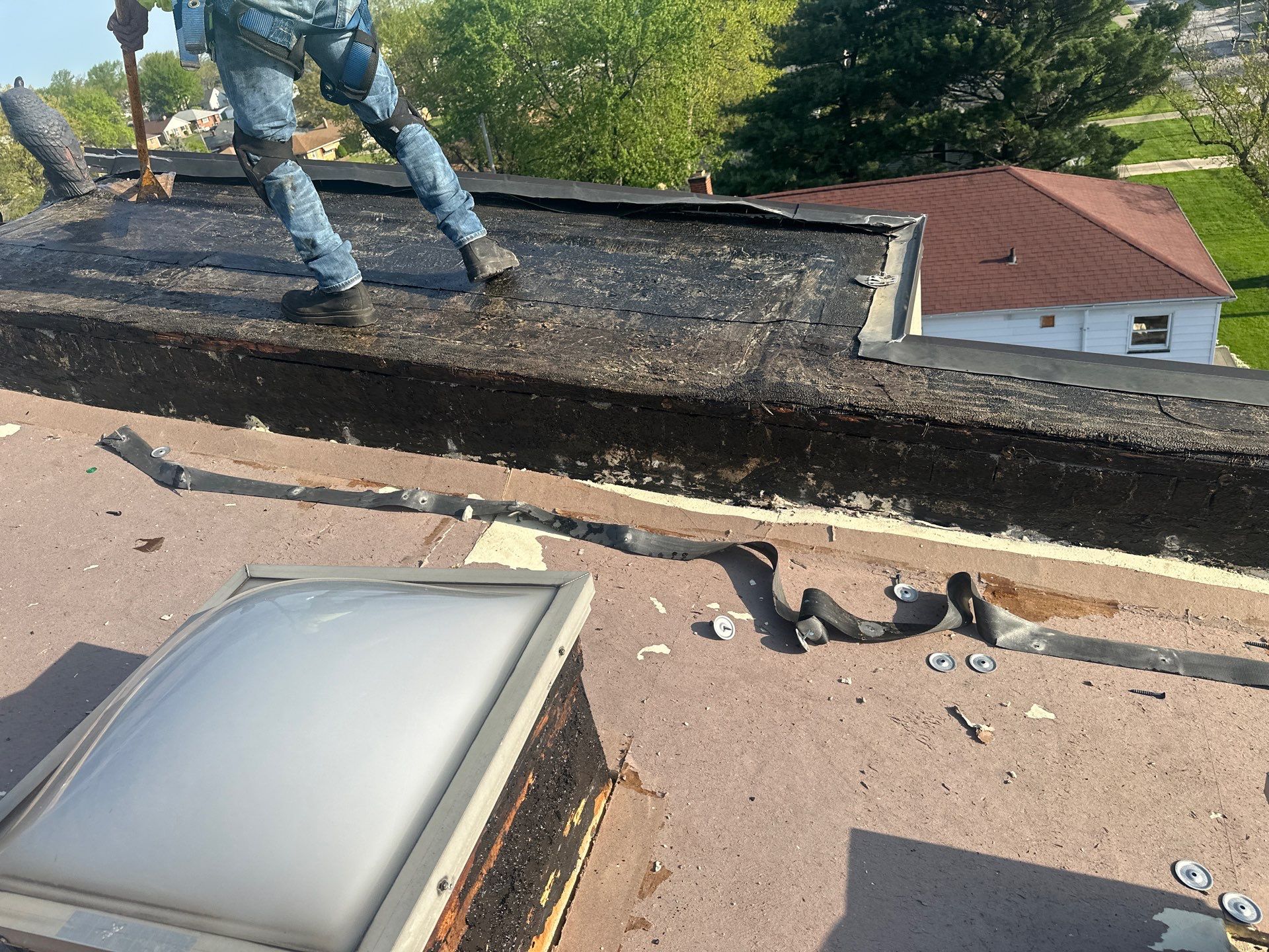 Commercial Roofing using Commercial by Absolute Roofing and Construction