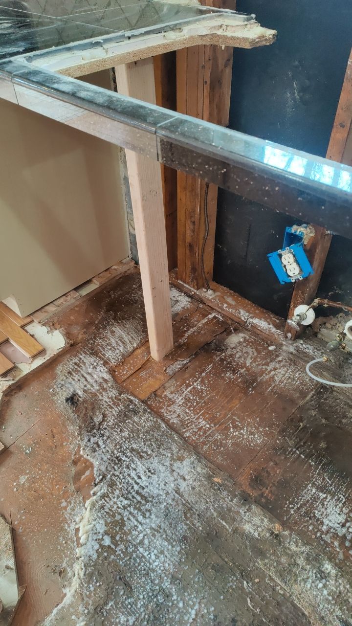 Mold Damage by Accountable Home Services