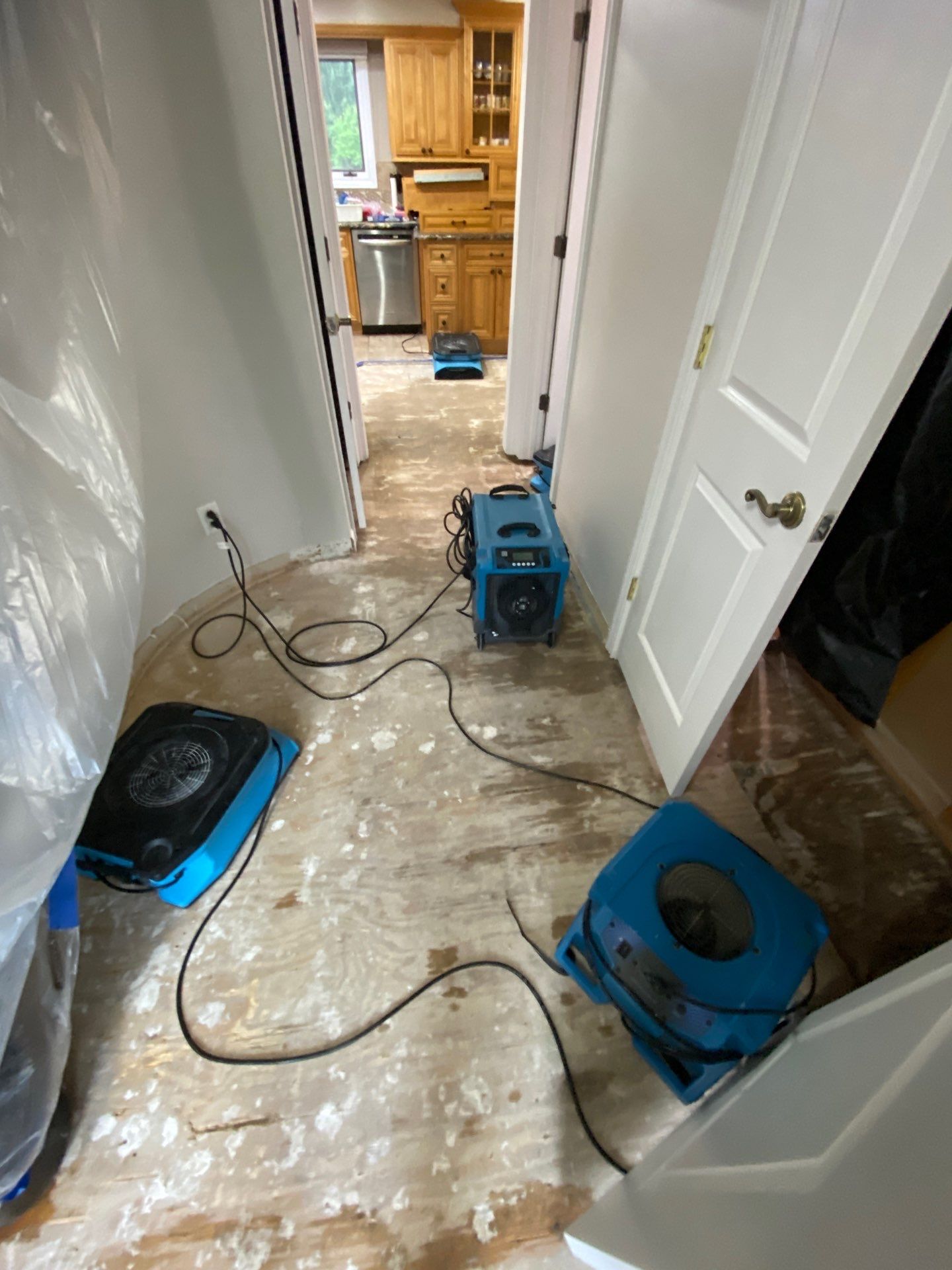 Project in Farmington Hills by EzDry Water Mitigation & Property Restoration