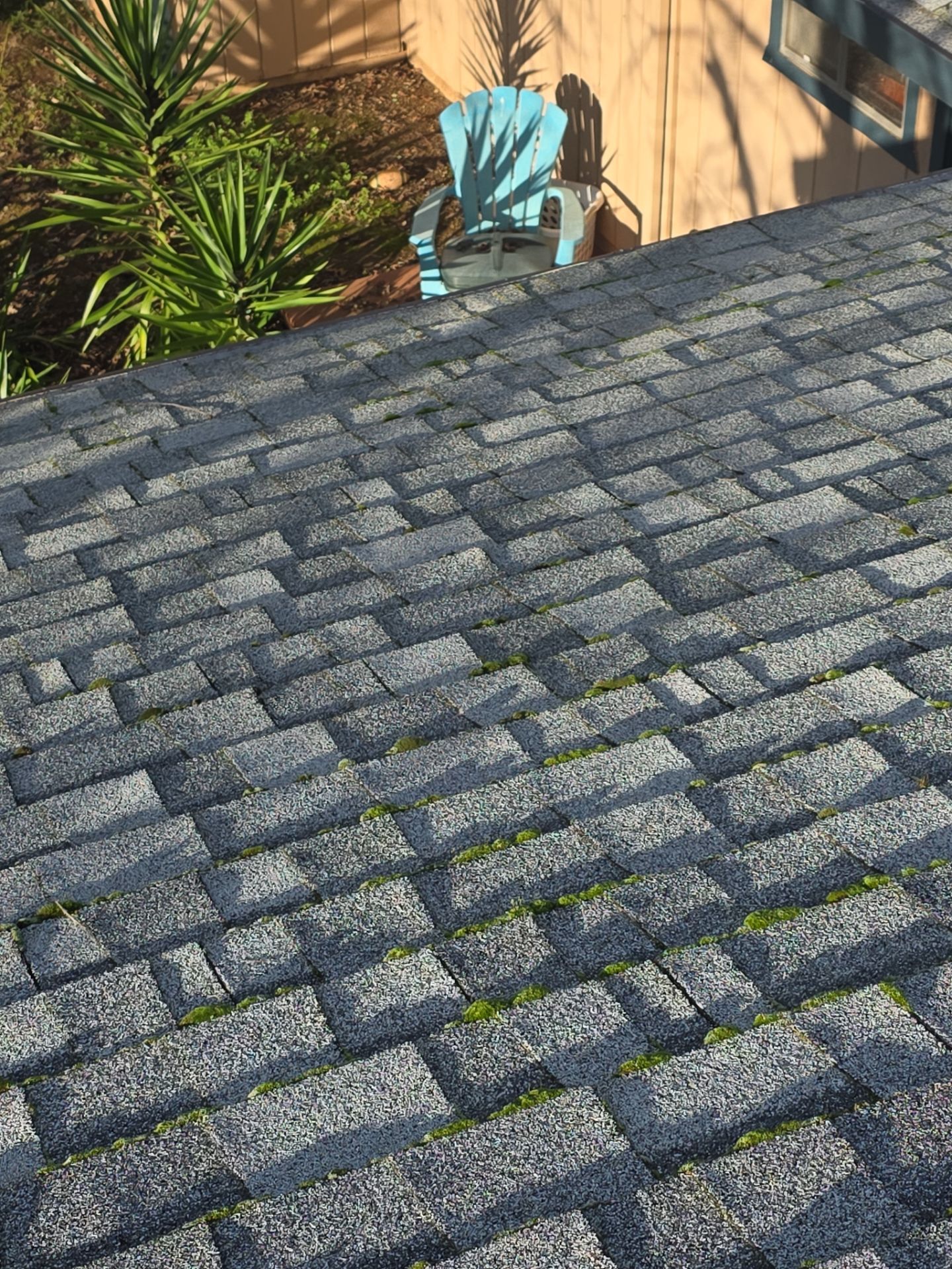 Roof Rejuvenation using Roof Maxx Treatment by Roof Maxx of Folsom