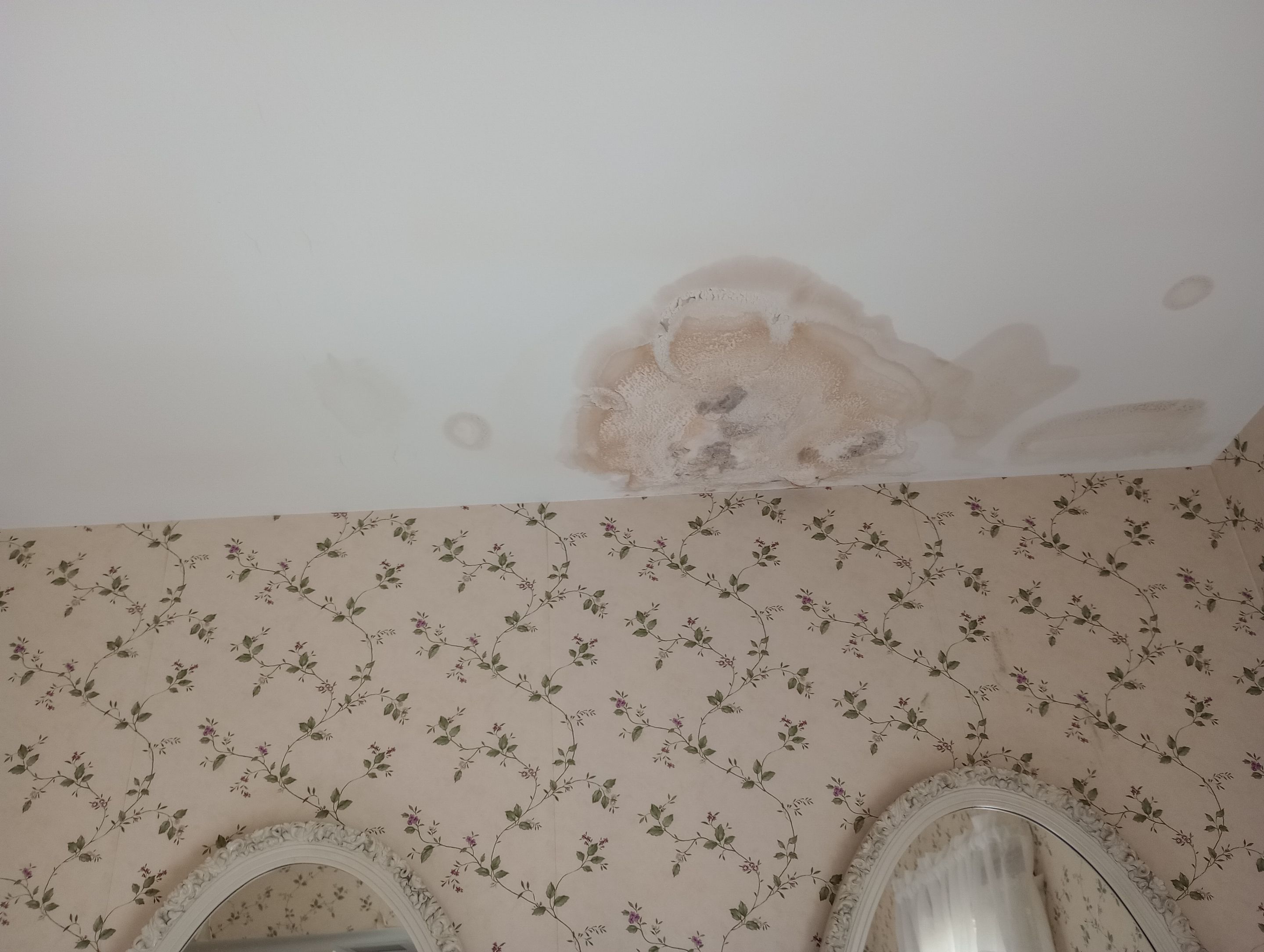 Interior Mold Remediation in Louisville, KY by ANR Restoration