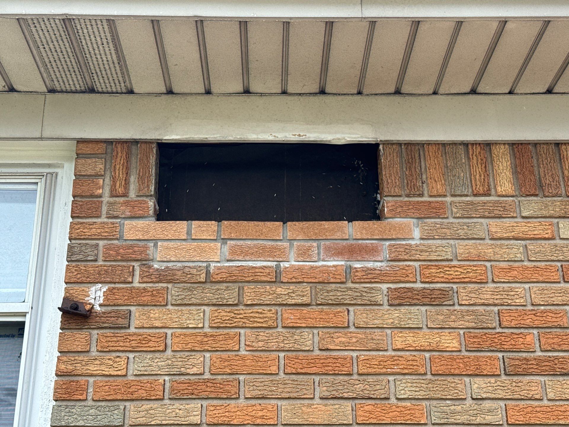 Project in Staten Island  by NYC Extermination LLC