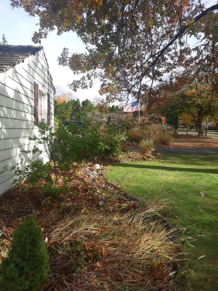 Tree Removal using Tree Removal by Mike Jones & Sons Tree Service LLC 