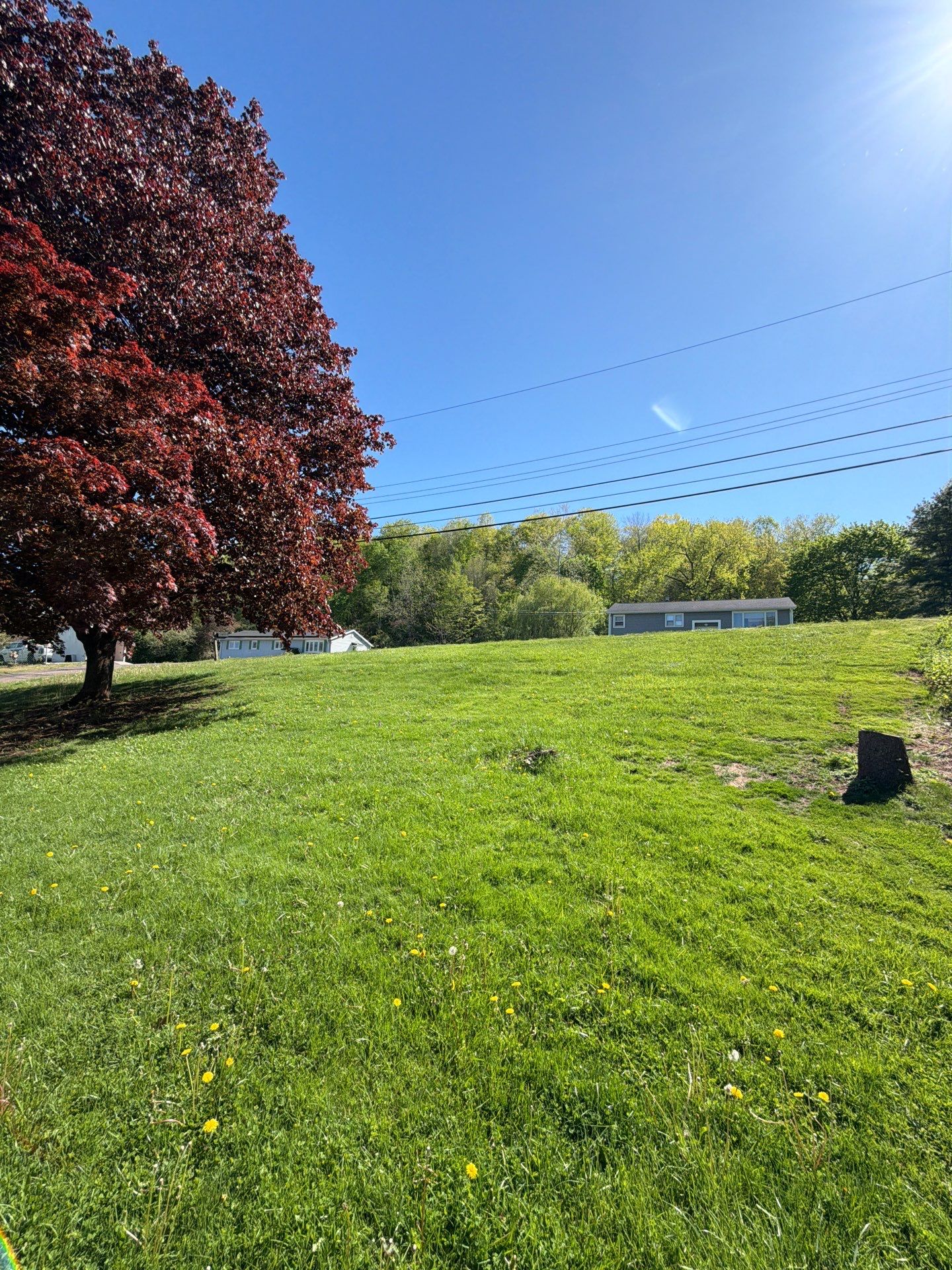 Lawn Care Visit at a Residential Property in North Branford, CT by Diamond Image LLC