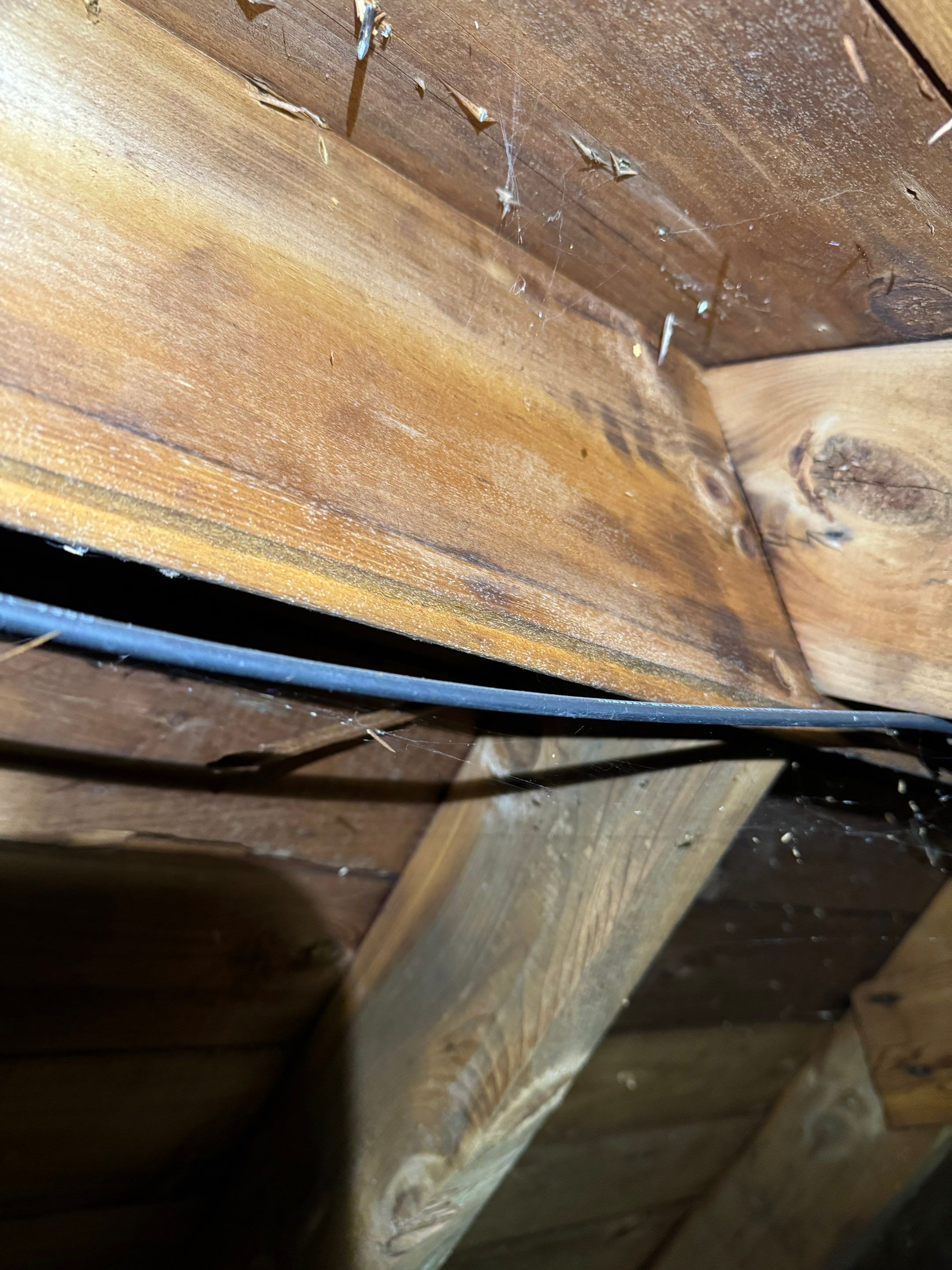 Entire Home Remediation by Home Guarantee, LLC