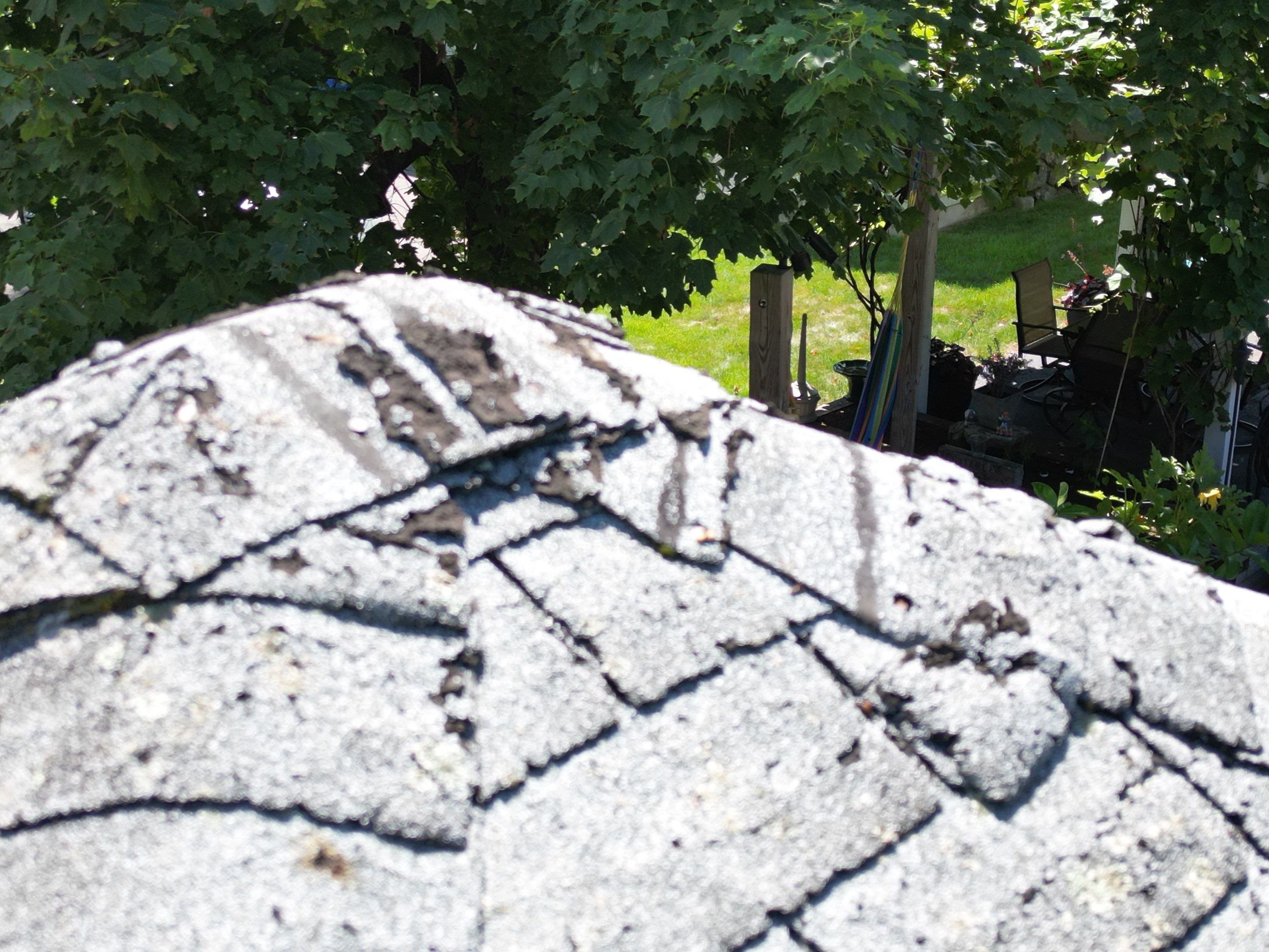 Roof Replacement with Skylight Flashing in Waltham, MA by Mighty Dog Roofing of Greater Middlesex County