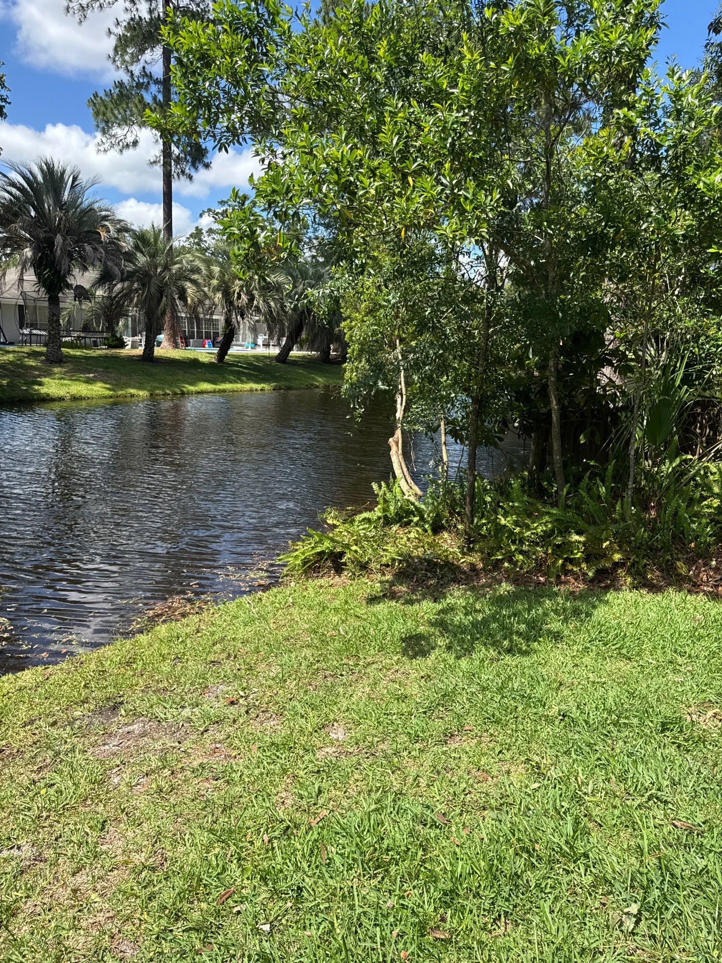 Deerwood Resident | Tree Trimming by ProGreen Services