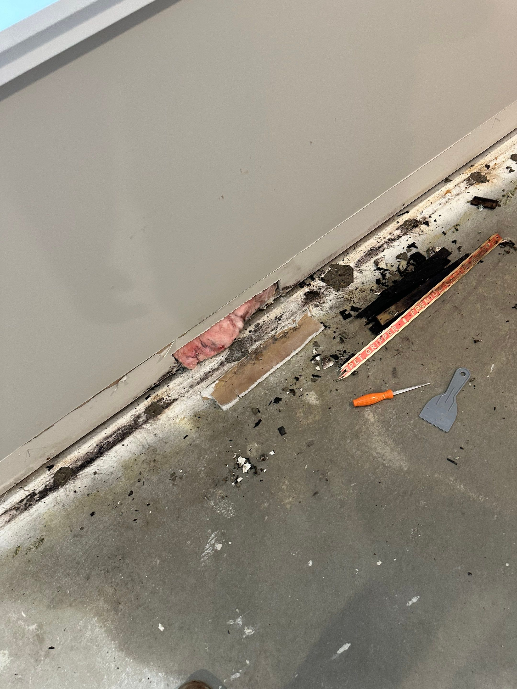 Foundation leak long term damage in new build home by BlueRed Restoration