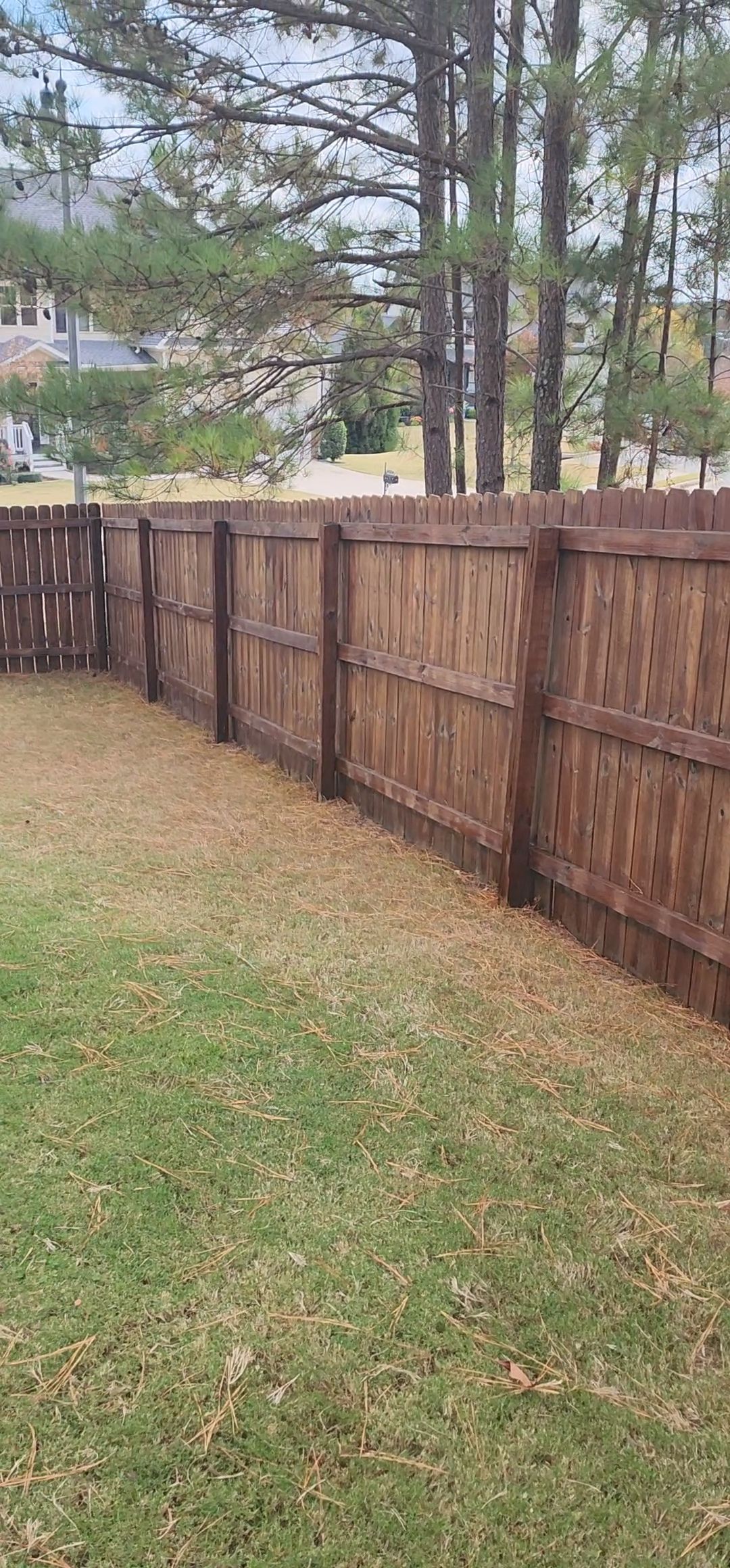 Fence Stained using Pecan Semi-Transparent by SSE by Titans of Timber Fence & Stain