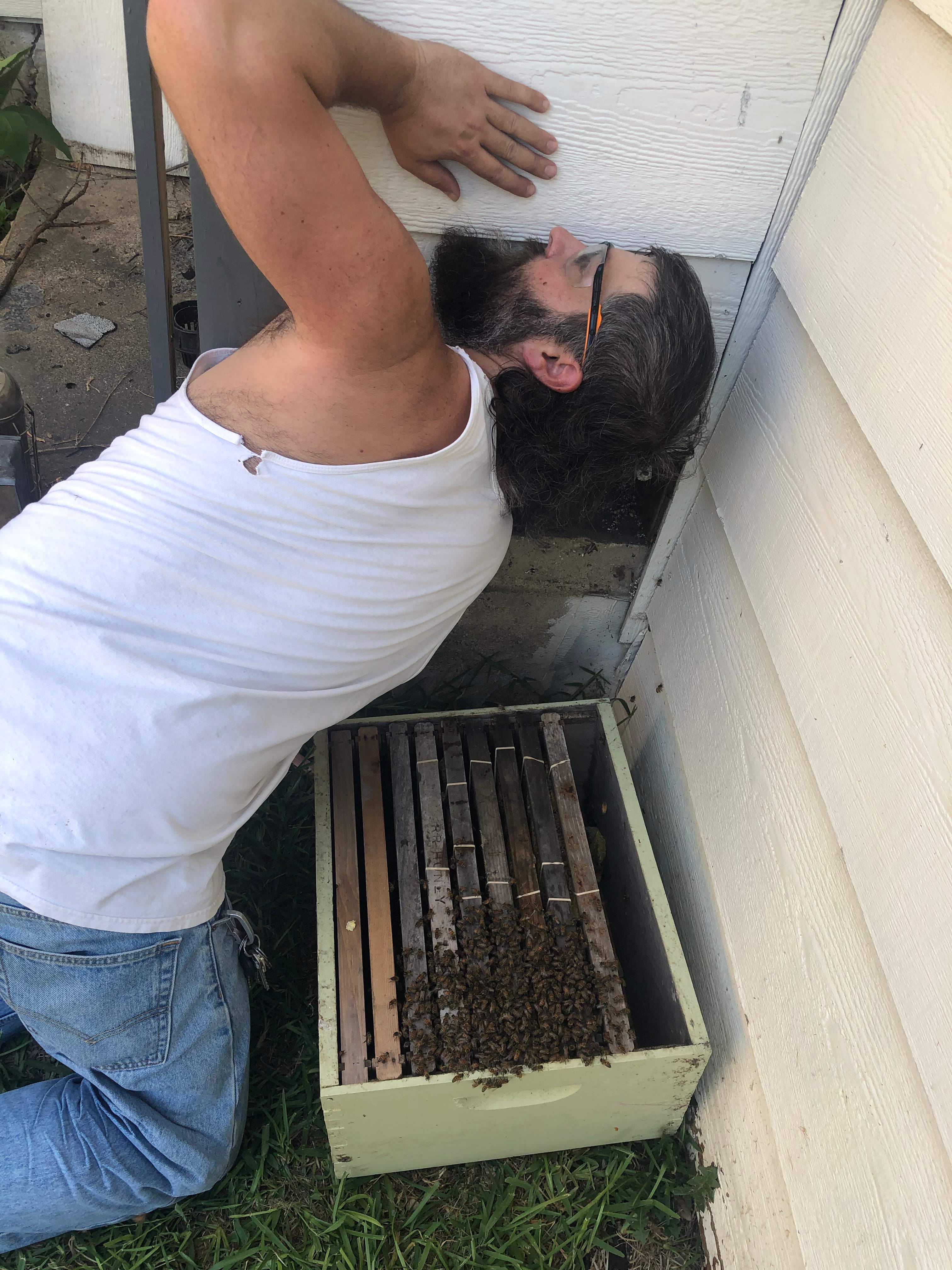 Bees Handled by Rockwall Honey Bee Company